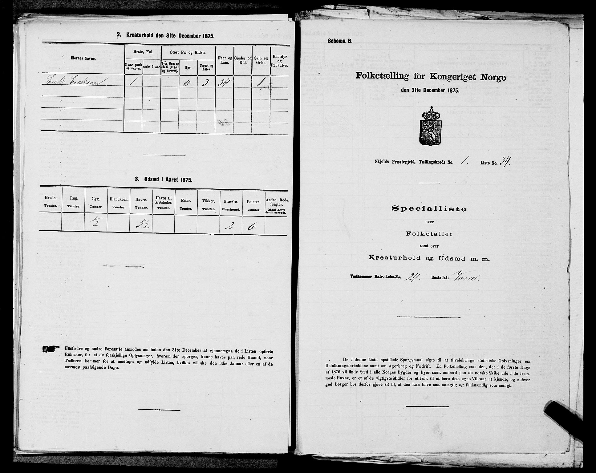 SAST, Folketelling 1875 for 1154P Skjold prestegjeld, 1875, s. 123