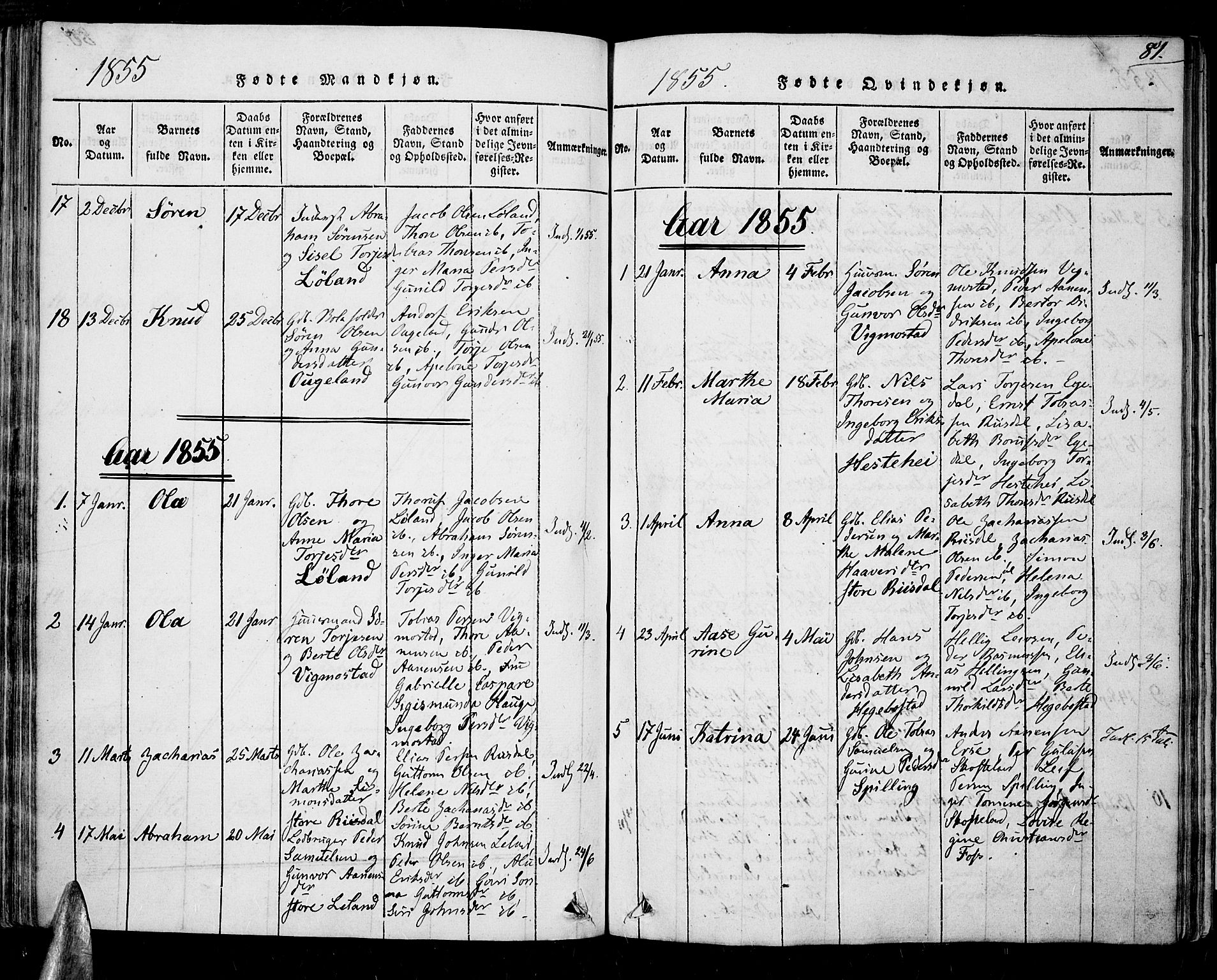 Nord-Audnedal sokneprestkontor, AV/SAK-1111-0032/F/Fa/Fab/L0001: Ministerialbok nr. A 1, 1816-1858, s. 81