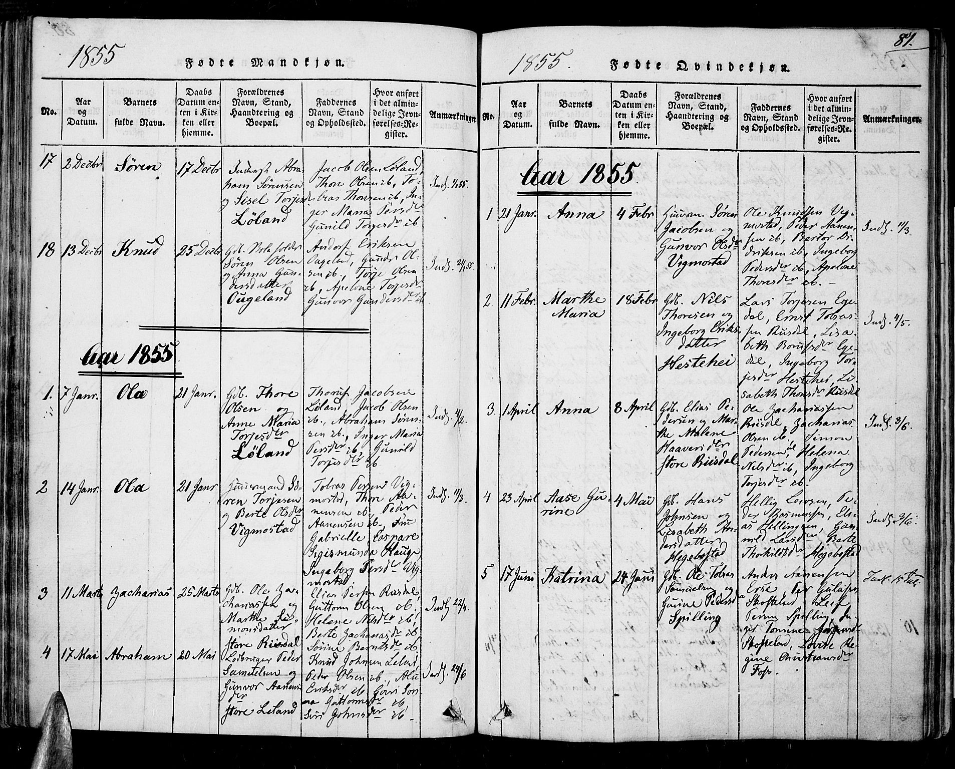 Nord-Audnedal sokneprestkontor, SAK/1111-0032/F/Fa/Fab/L0001: Ministerialbok nr. A 1, 1816-1858, s. 81