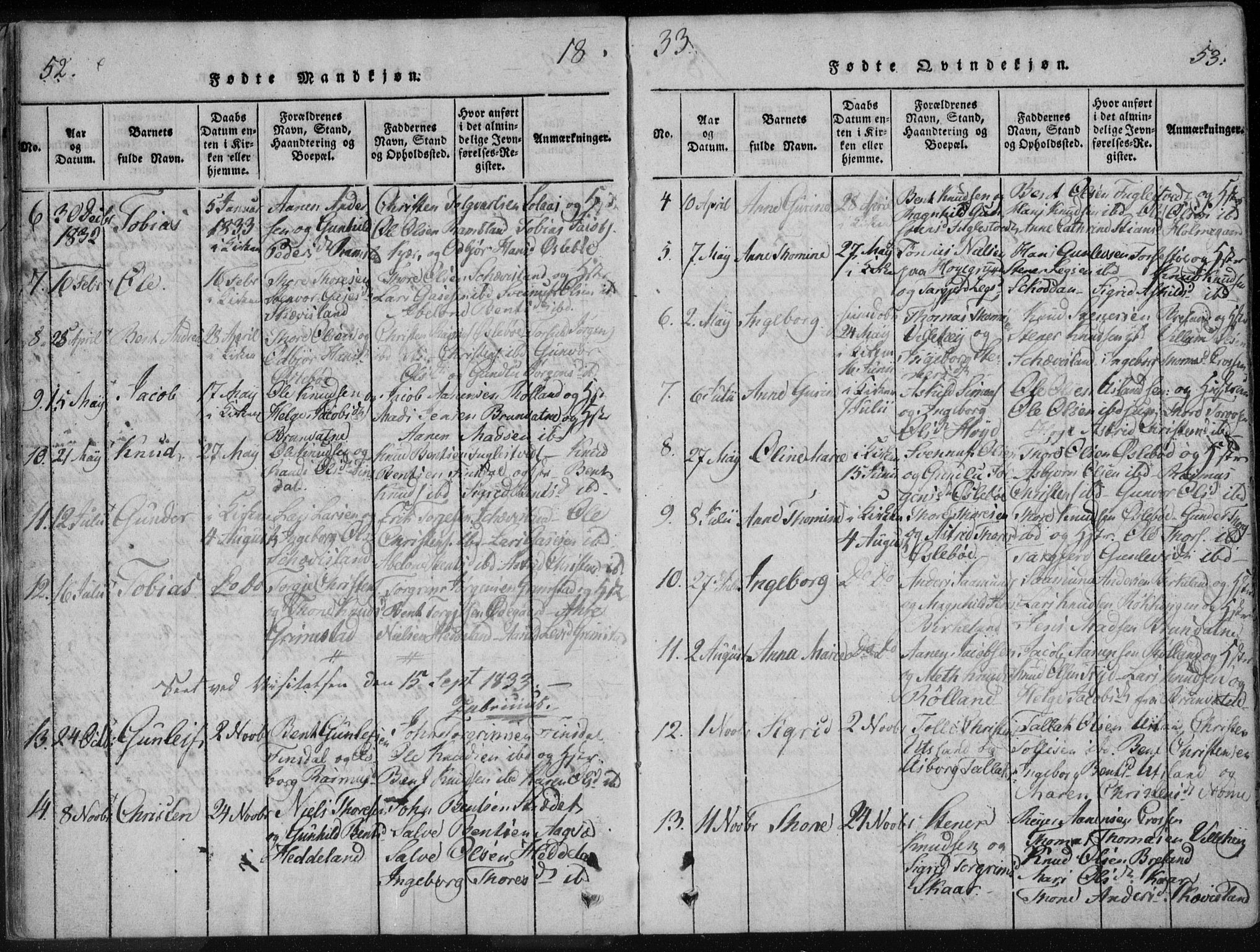 Holum sokneprestkontor, AV/SAK-1111-0022/F/Fa/Fac/L0002: Ministerialbok nr. A 2, 1821-1859, s. 52-53