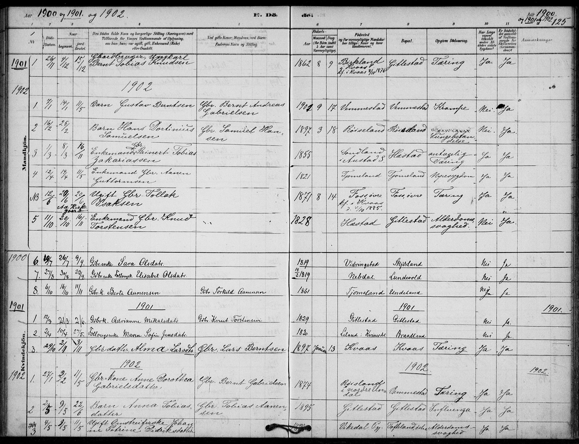 Lyngdal sokneprestkontor, AV/SAK-1111-0029/F/Fa/Fab/L0003: Ministerialbok nr. A 3, 1878-1903, s. 125