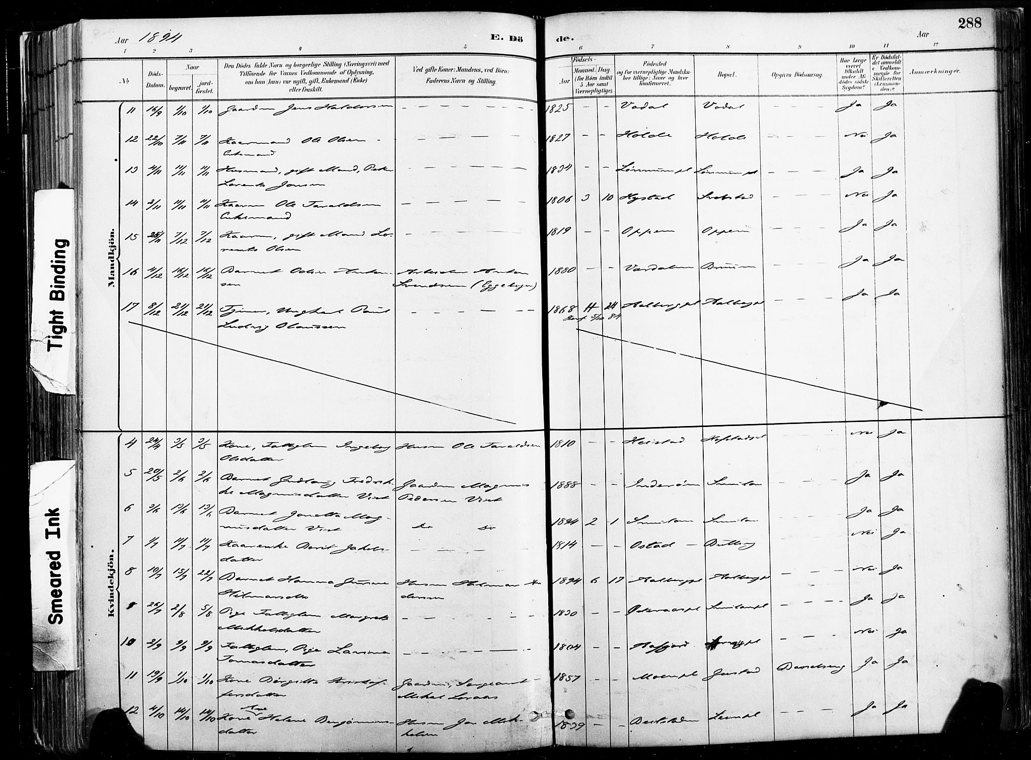 Ministerialprotokoller, klokkerbøker og fødselsregistre - Nord-Trøndelag, SAT/A-1458/735/L0351: Ministerialbok nr. 735A10, 1884-1908, s. 288