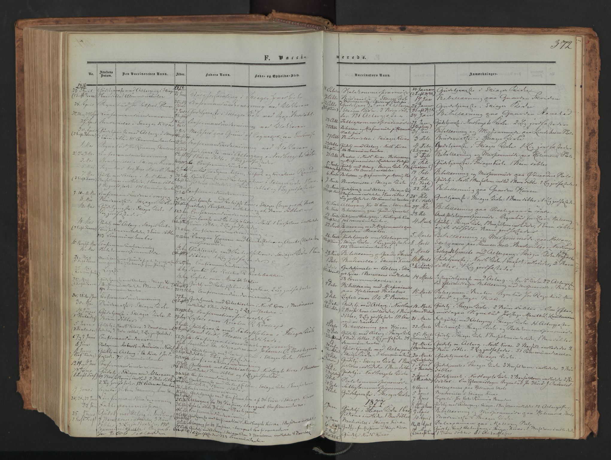 Skjåk prestekontor, AV/SAH-PREST-072/H/Ha/Haa/L0001: Ministerialbok nr. 1, 1863-1879, s. 372