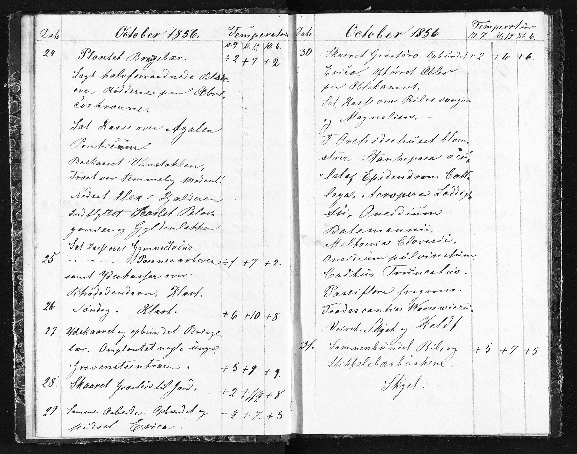 Familien Aalls privatarkiv , NESJ/NJM-005/E-00003/L0001/0003/0002: Dag- og notatbøker / Dølner dagbokpakke 001, 1856