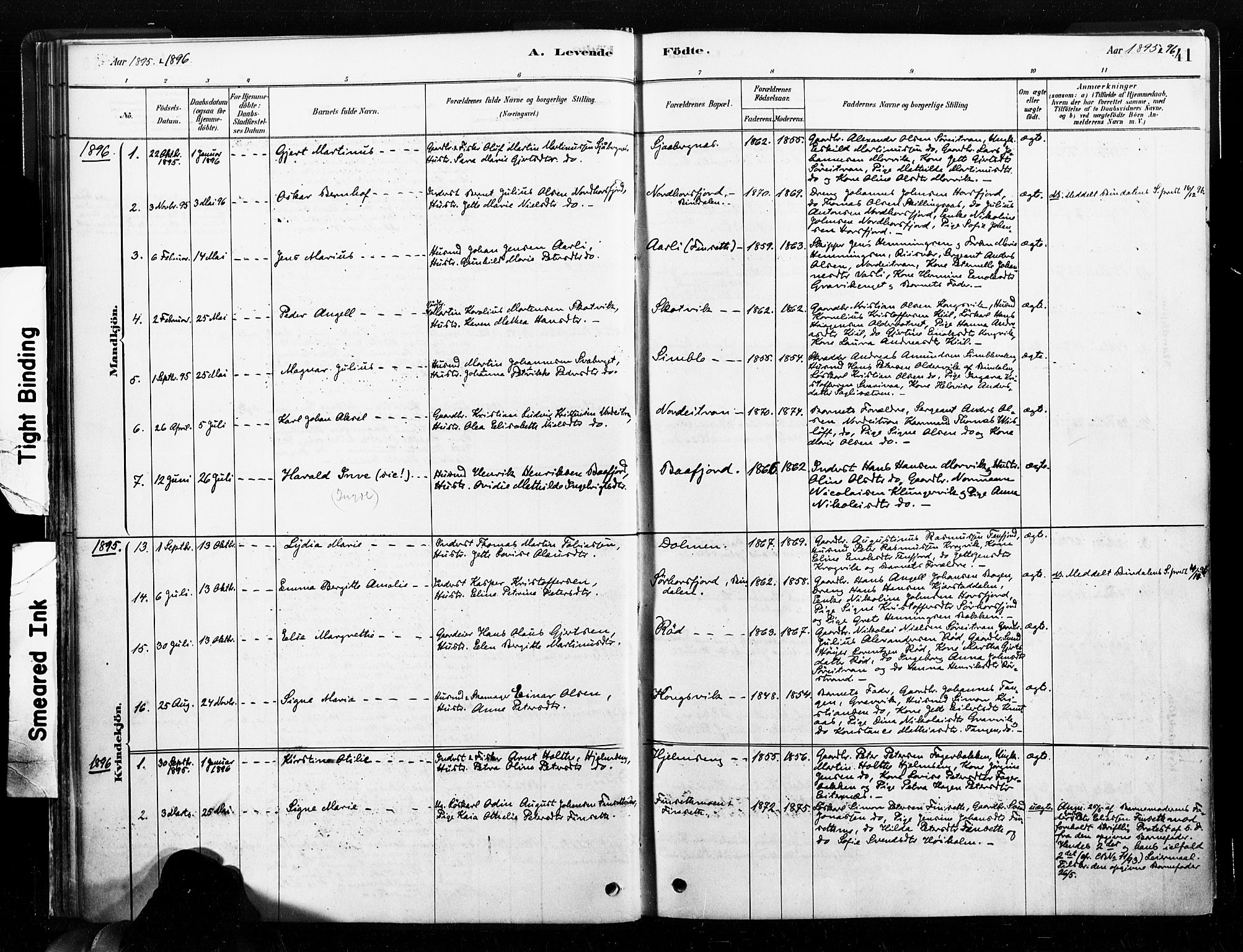 Ministerialprotokoller, klokkerbøker og fødselsregistre - Nord-Trøndelag, AV/SAT-A-1458/789/L0705: Ministerialbok nr. 789A01, 1878-1910, s. 41