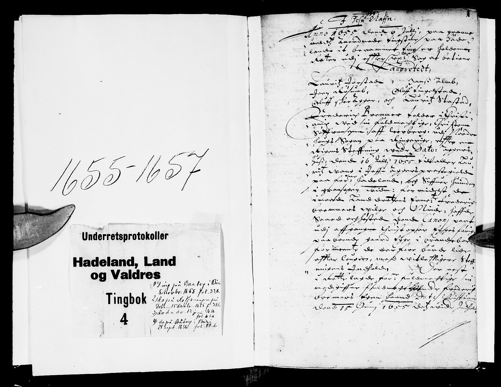Hadeland, Land og Valdres sorenskriveri, SAH/TING-028/G/Gb/L0004: Tingbok, 1655-1657, s. 0b-1a