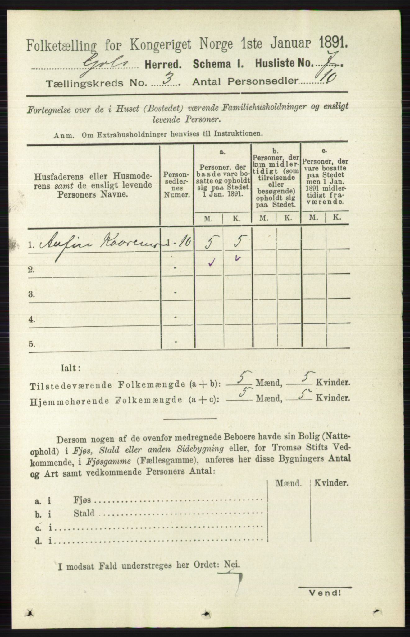 RA, Folketelling 1891 for 0617 Gol og Hemsedal herred, 1891, s. 1202