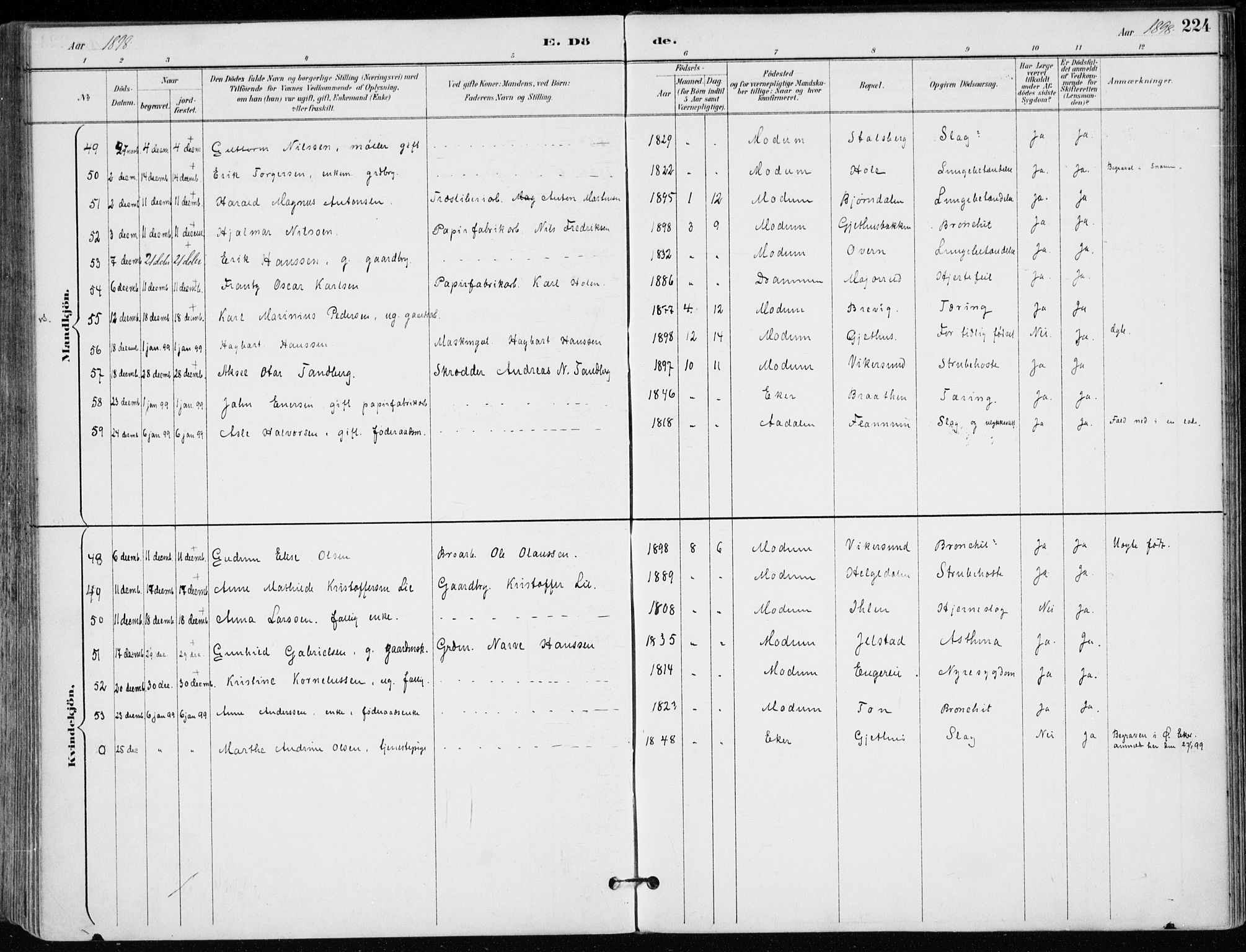 Modum kirkebøker, AV/SAKO-A-234/F/Fa/L0012: Ministerialbok nr. 12, 1890-1898, s. 224