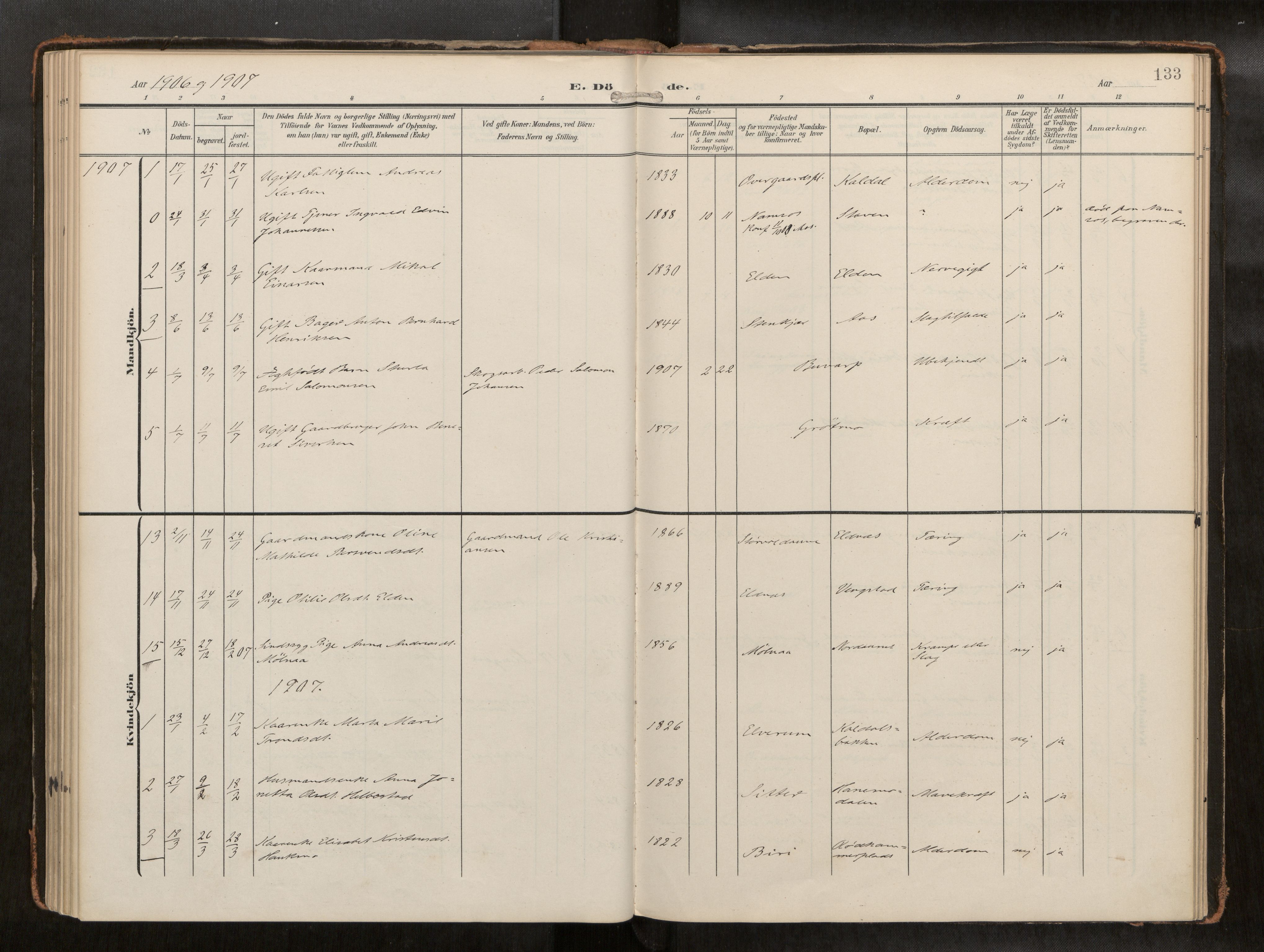 Ministerialprotokoller, klokkerbøker og fødselsregistre - Nord-Trøndelag, SAT/A-1458/742/L0409a: Ministerialbok nr. 742A03, 1906-1924, s. 133
