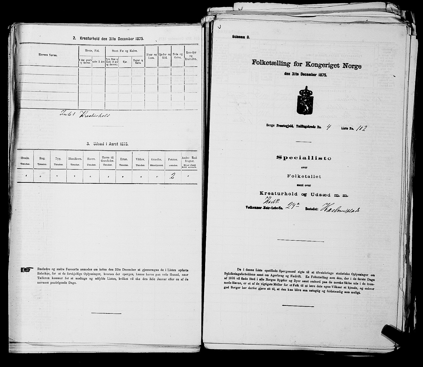 RA, Folketelling 1875 for 0116P Berg prestegjeld, 1875, s. 519