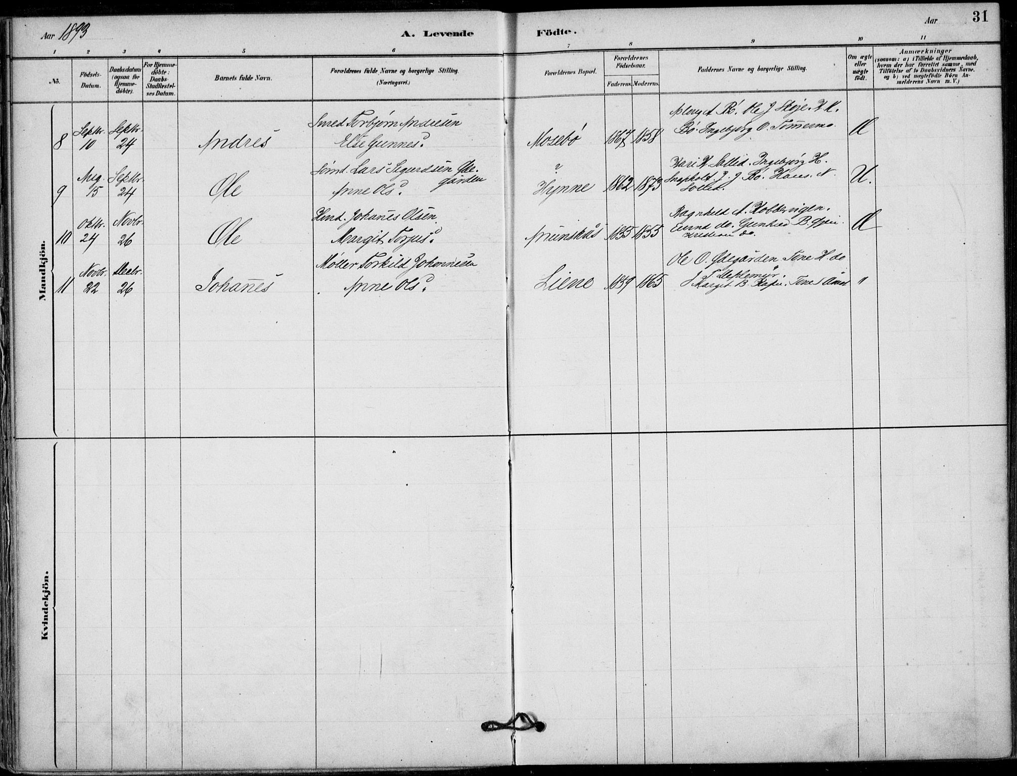 Hjartdal kirkebøker, AV/SAKO-A-270/F/Fb/L0002: Ministerialbok nr. II 2, 1880-1932, s. 31