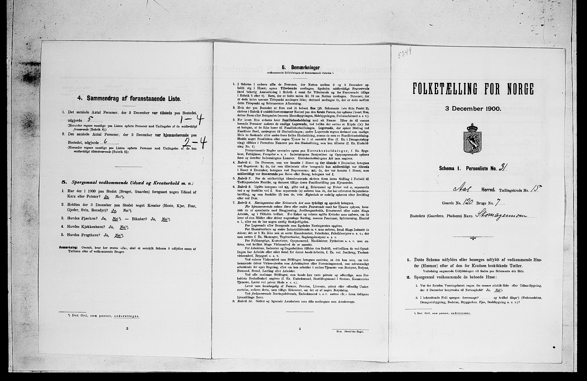 RA, Folketelling 1900 for 0619 Ål herred, 1900, s. 1225
