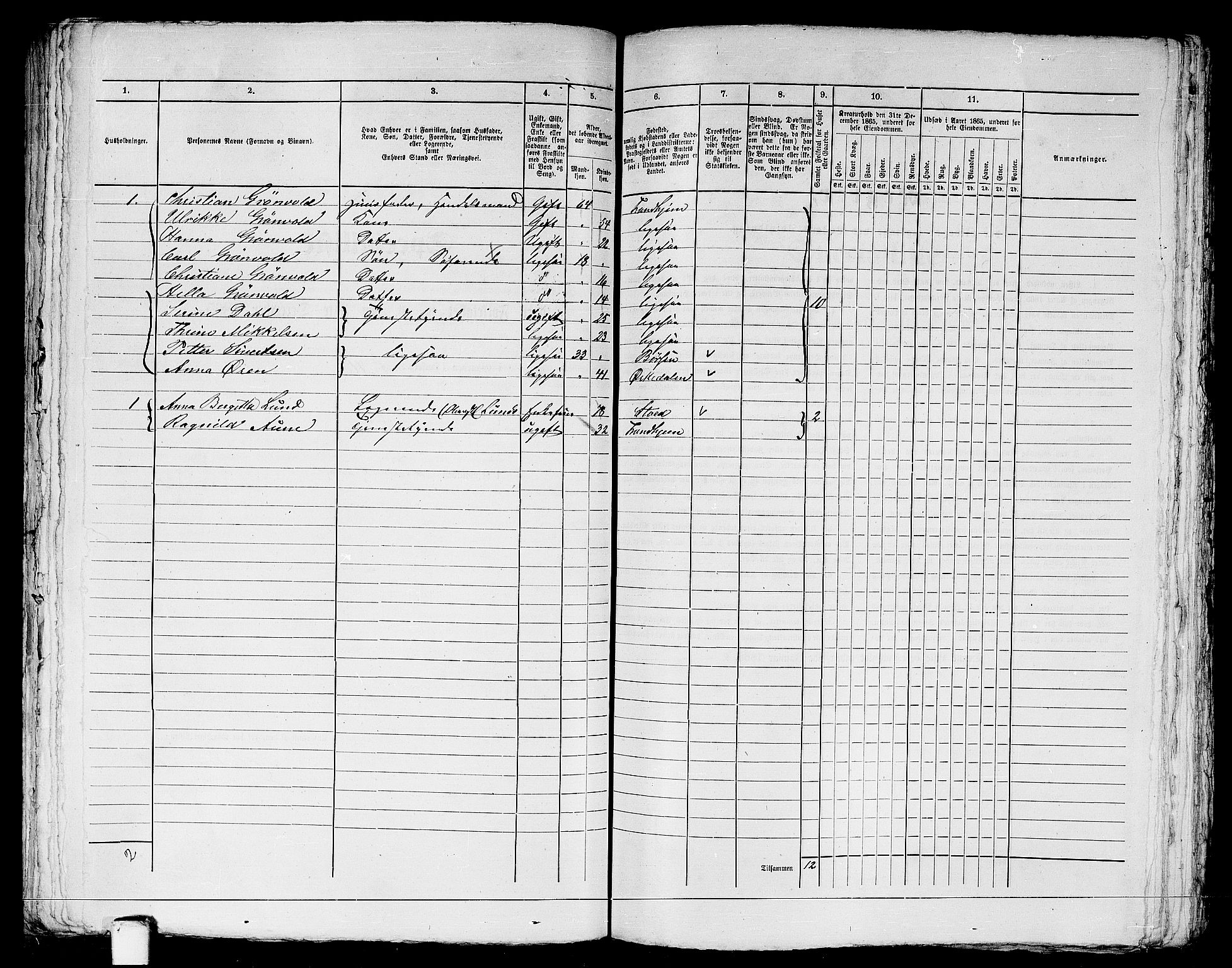 RA, Folketelling 1865 for 1601 Trondheim kjøpstad, 1865, s. 1316