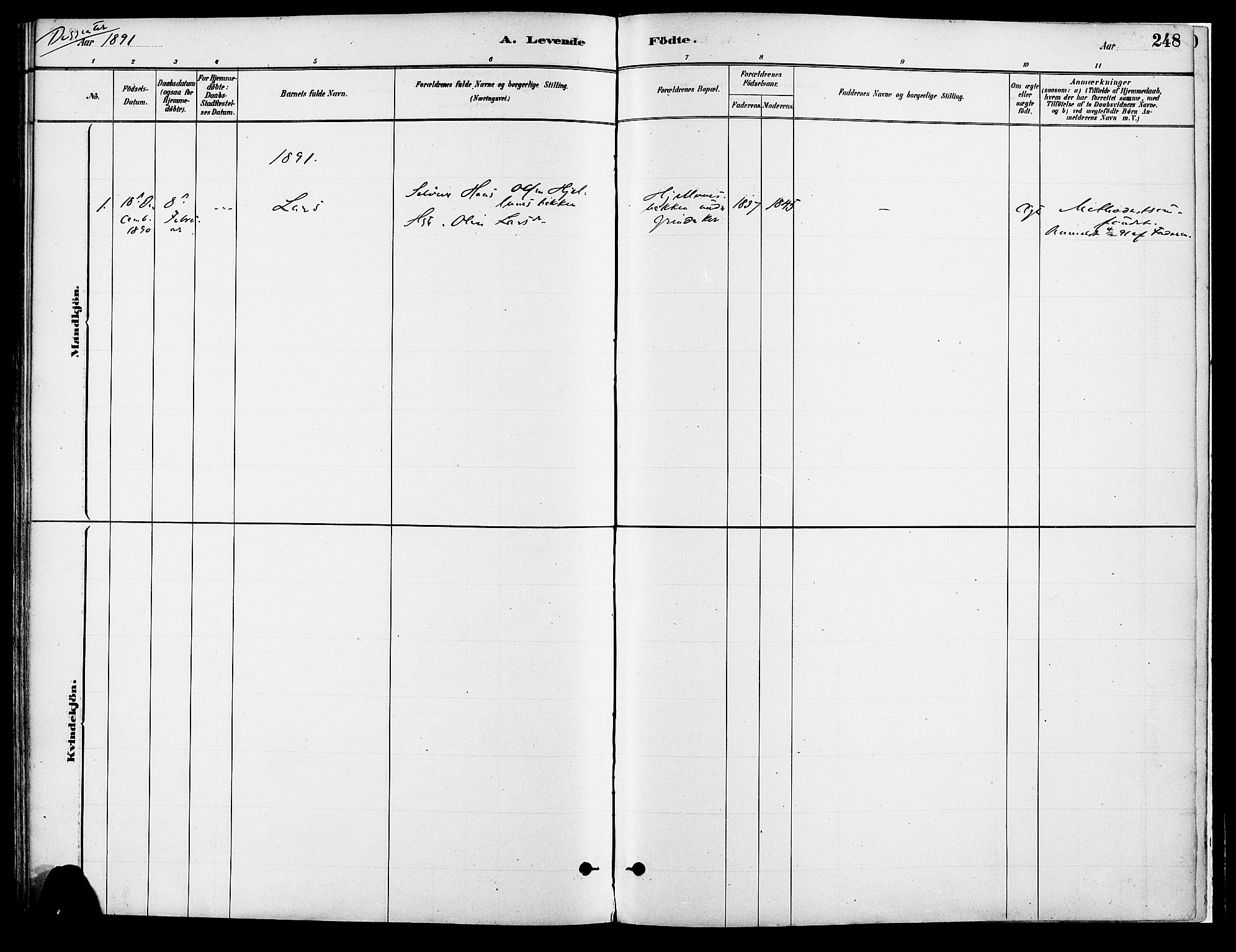 Vang prestekontor, Hedmark, SAH/PREST-008/H/Ha/Haa/L0018A: Ministerialbok nr. 18A, 1880-1906, s. 248