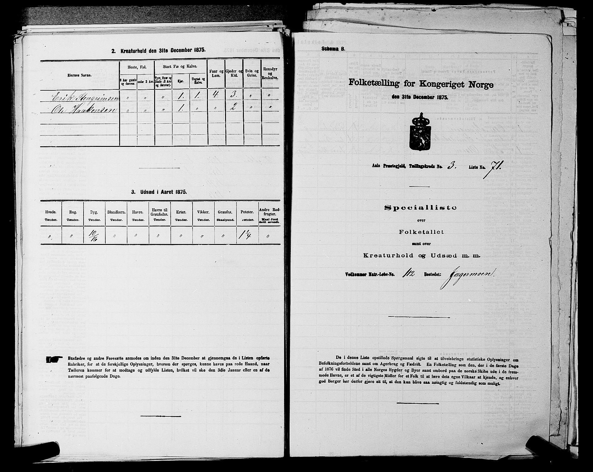 SAKO, Folketelling 1875 for 0619P Ål prestegjeld, 1875, s. 461