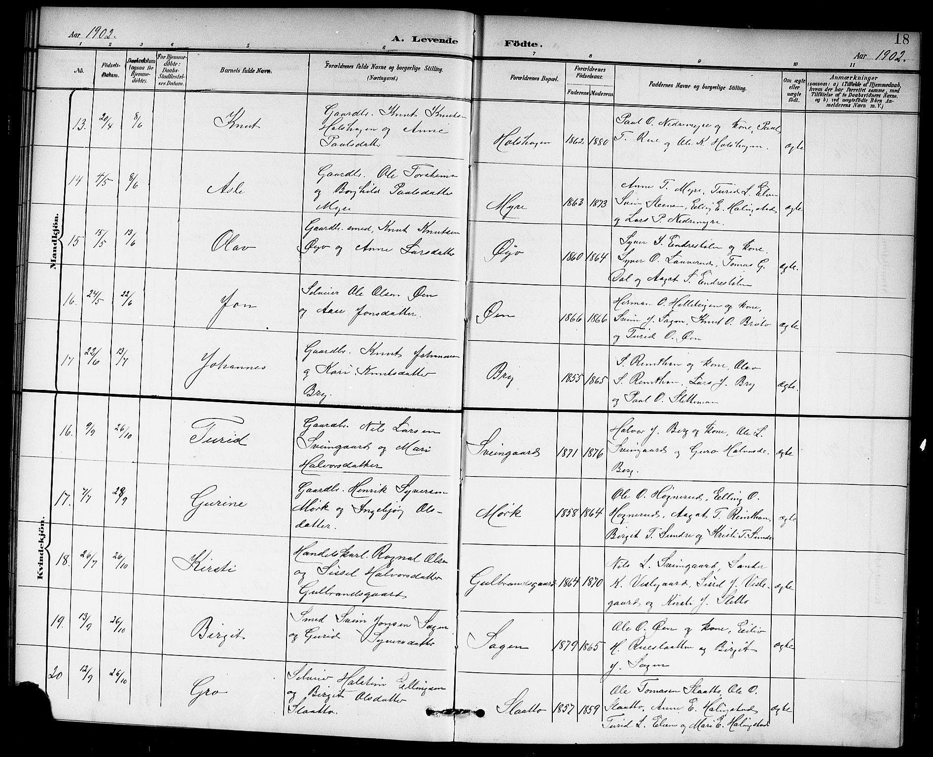 Hol kirkebøker, AV/SAKO-A-227/G/Ga/L0001: Klokkerbok nr. I 1, 1900-1919, s. 18