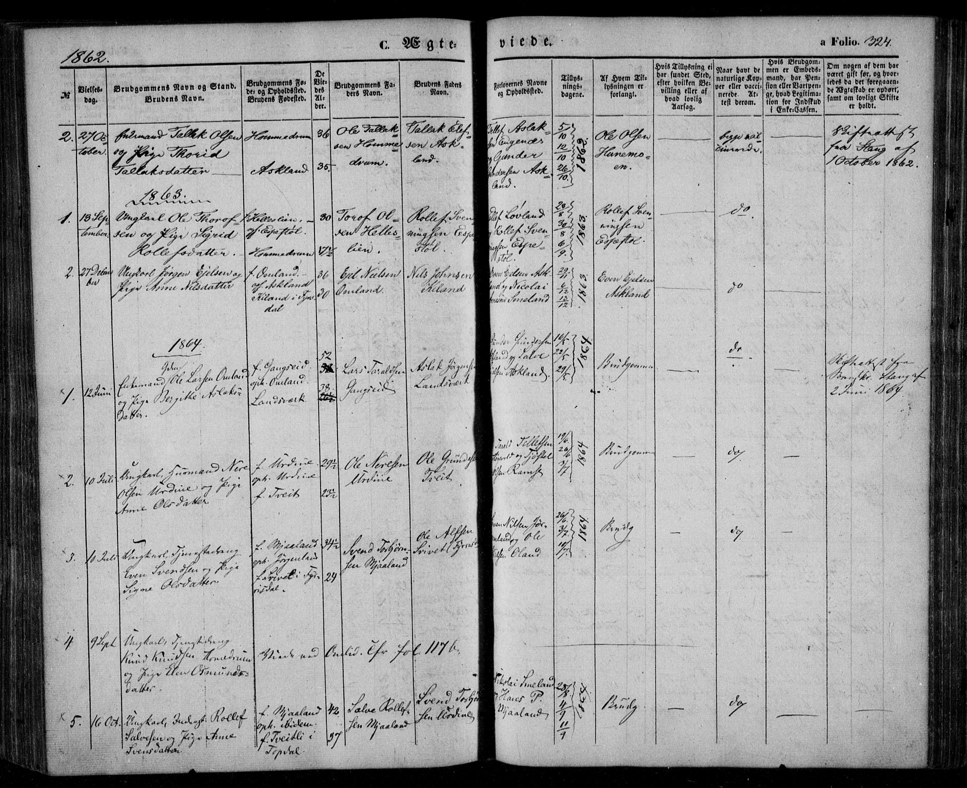 Åmli sokneprestkontor, AV/SAK-1111-0050/F/Fa/Fac/L0008: Ministerialbok nr. A 8, 1852-1869, s. 324