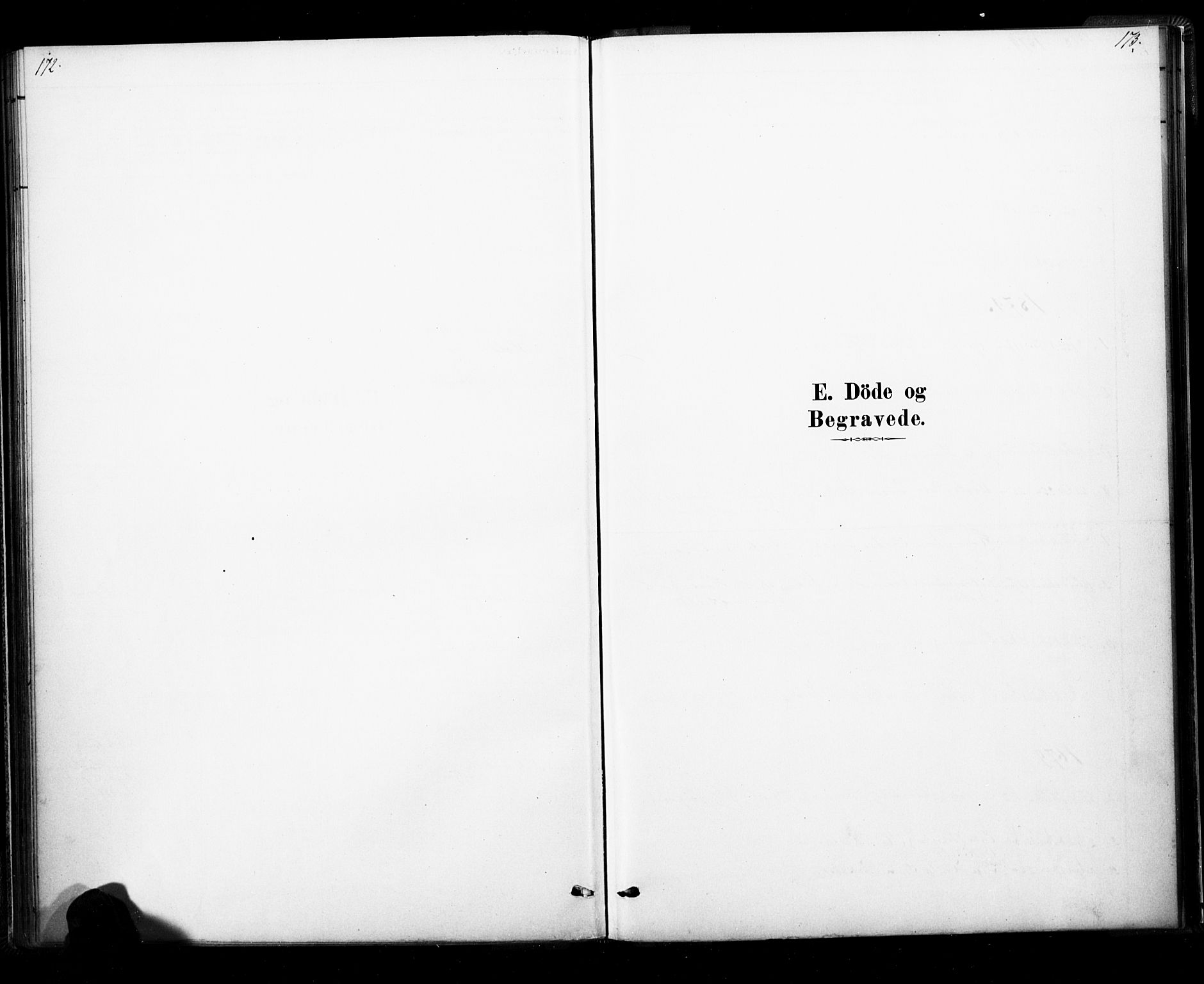 Ramnes kirkebøker, SAKO/A-314/F/Fb/L0001: Ministerialbok nr. II 1, 1878-1894, s. 172-173