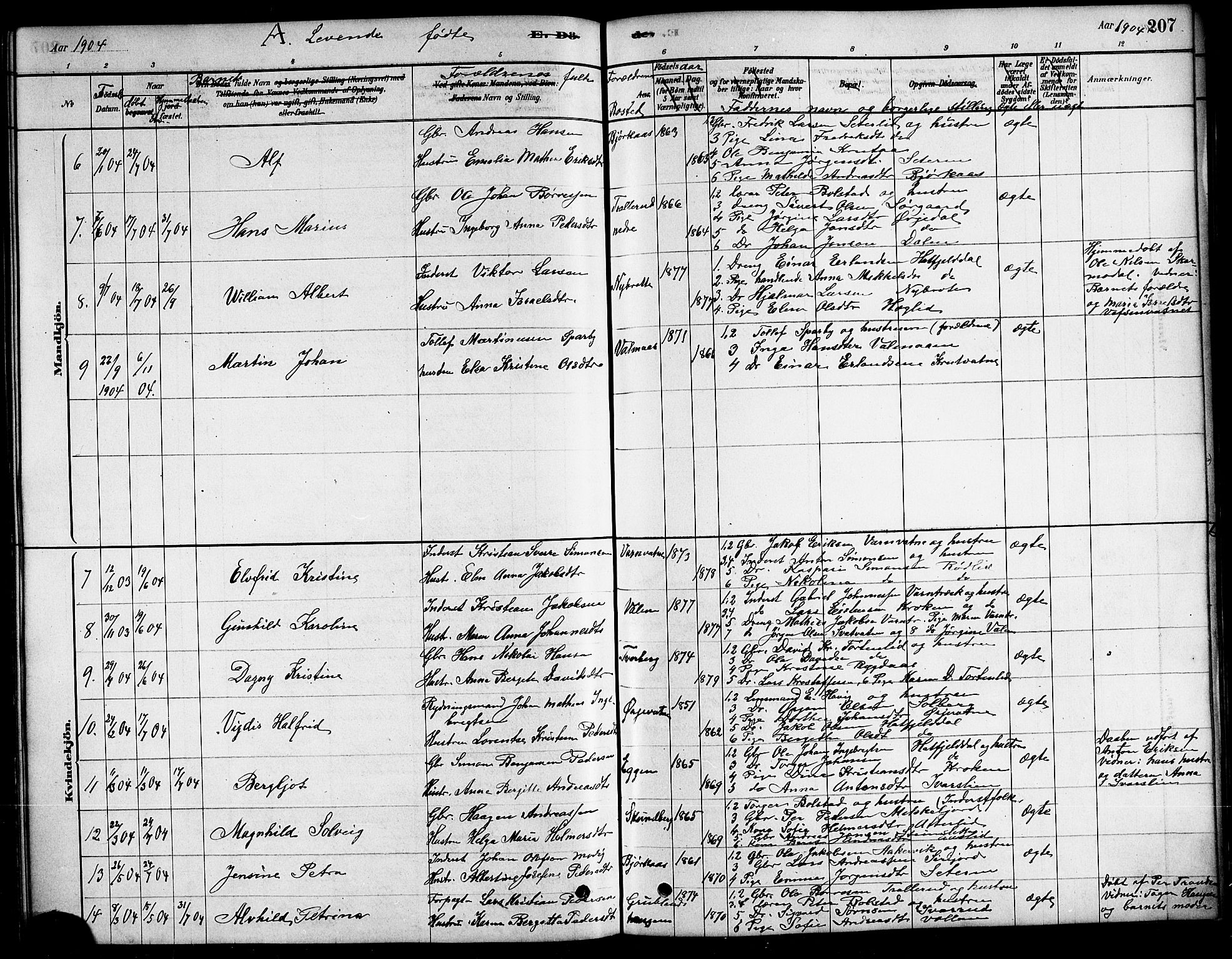 Ministerialprotokoller, klokkerbøker og fødselsregistre - Nordland, AV/SAT-A-1459/823/L0330: Klokkerbok nr. 823C02, 1879-1916, s. 207