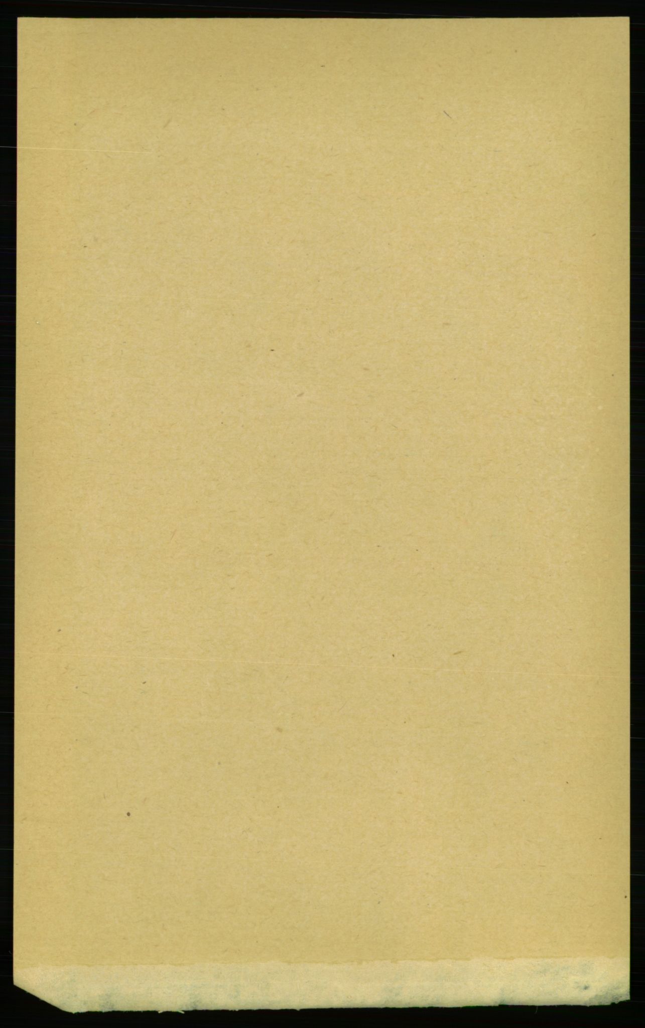 RA, Folketelling 1891 for 1640 Røros herred, 1891, s. 3325