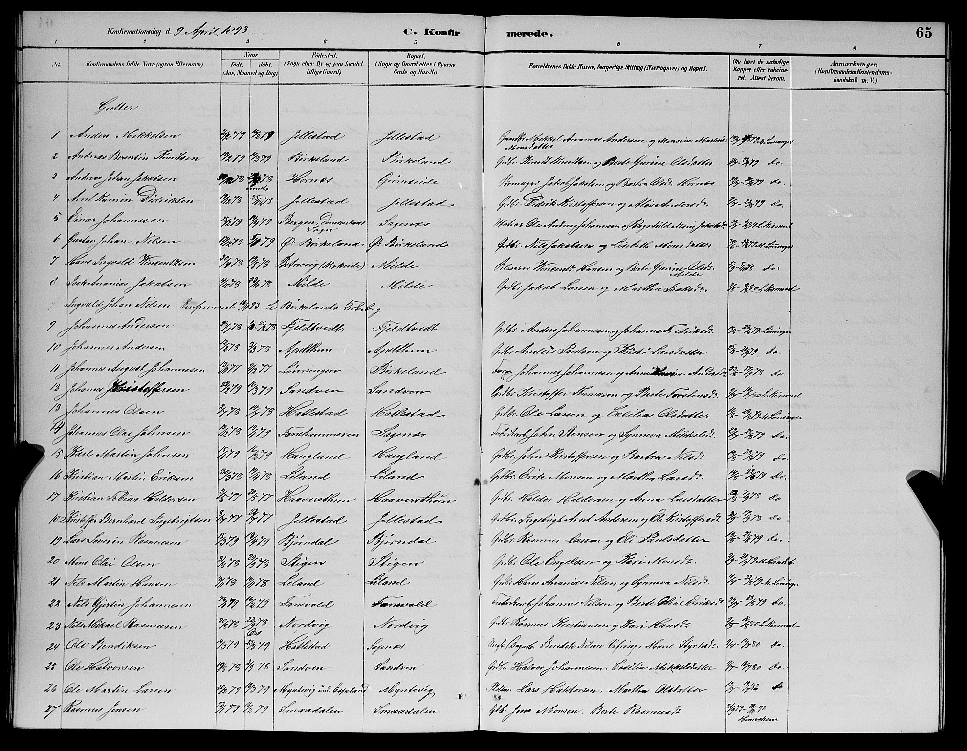 Fana Sokneprestembete, AV/SAB-A-75101/H/Hab/Haba/L0002: Klokkerbok nr. A 2, 1889-1895, s. 65
