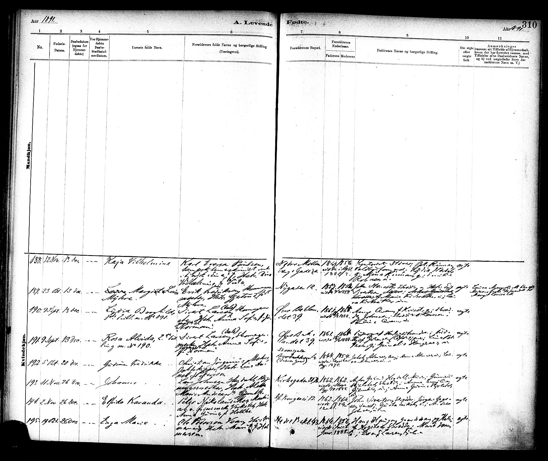 Ministerialprotokoller, klokkerbøker og fødselsregistre - Sør-Trøndelag, SAT/A-1456/604/L0188: Ministerialbok nr. 604A09, 1878-1892, s. 310
