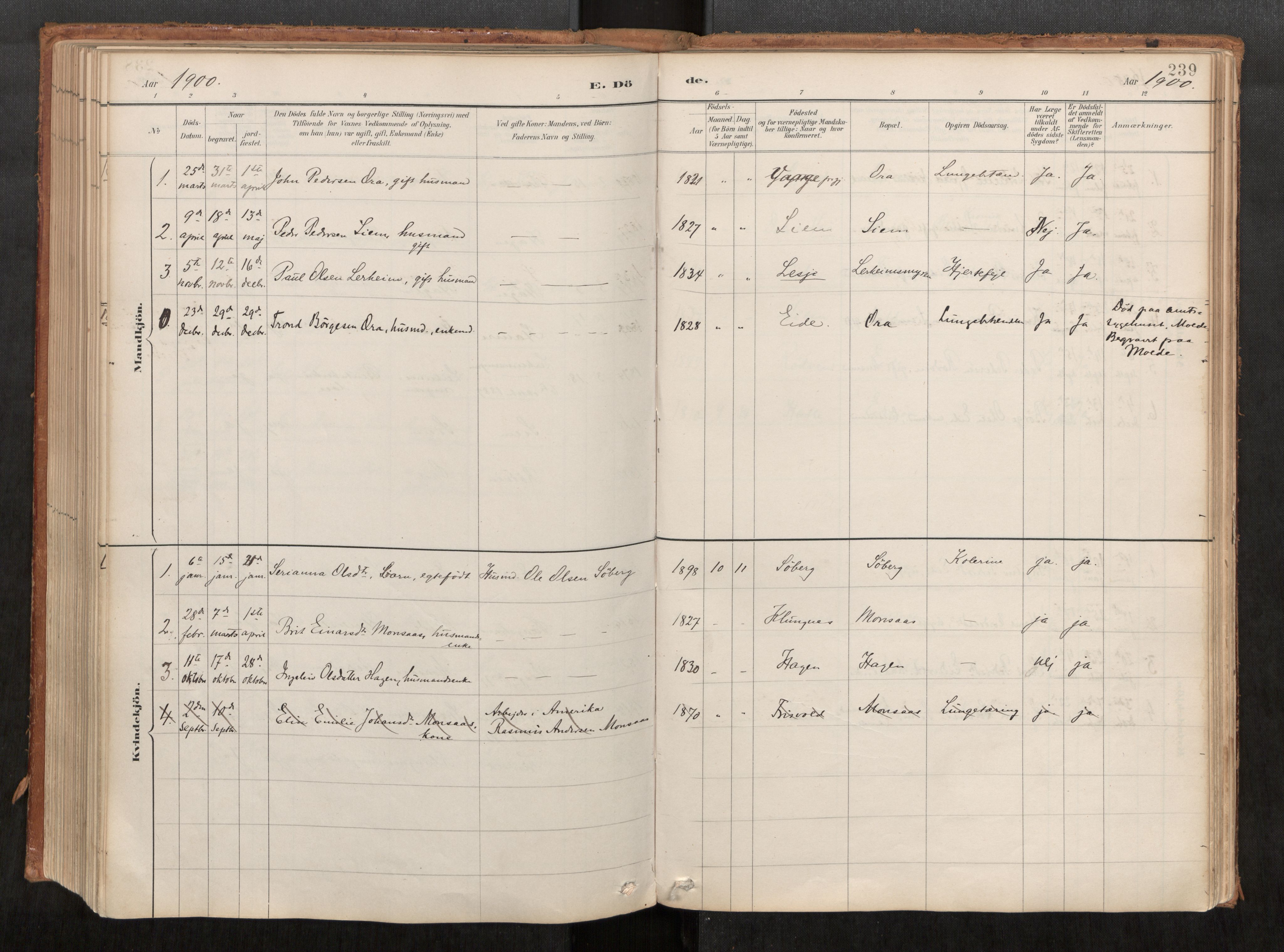 Ministerialprotokoller, klokkerbøker og fødselsregistre - Møre og Romsdal, AV/SAT-A-1454/542/L0553: Ministerialbok nr. 542A03, 1885-1925, s. 239