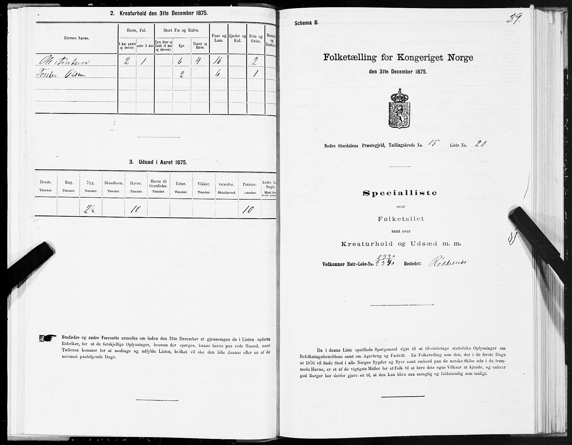 SAT, Folketelling 1875 for 1714P Nedre Stjørdal prestegjeld, 1875, s. 8039