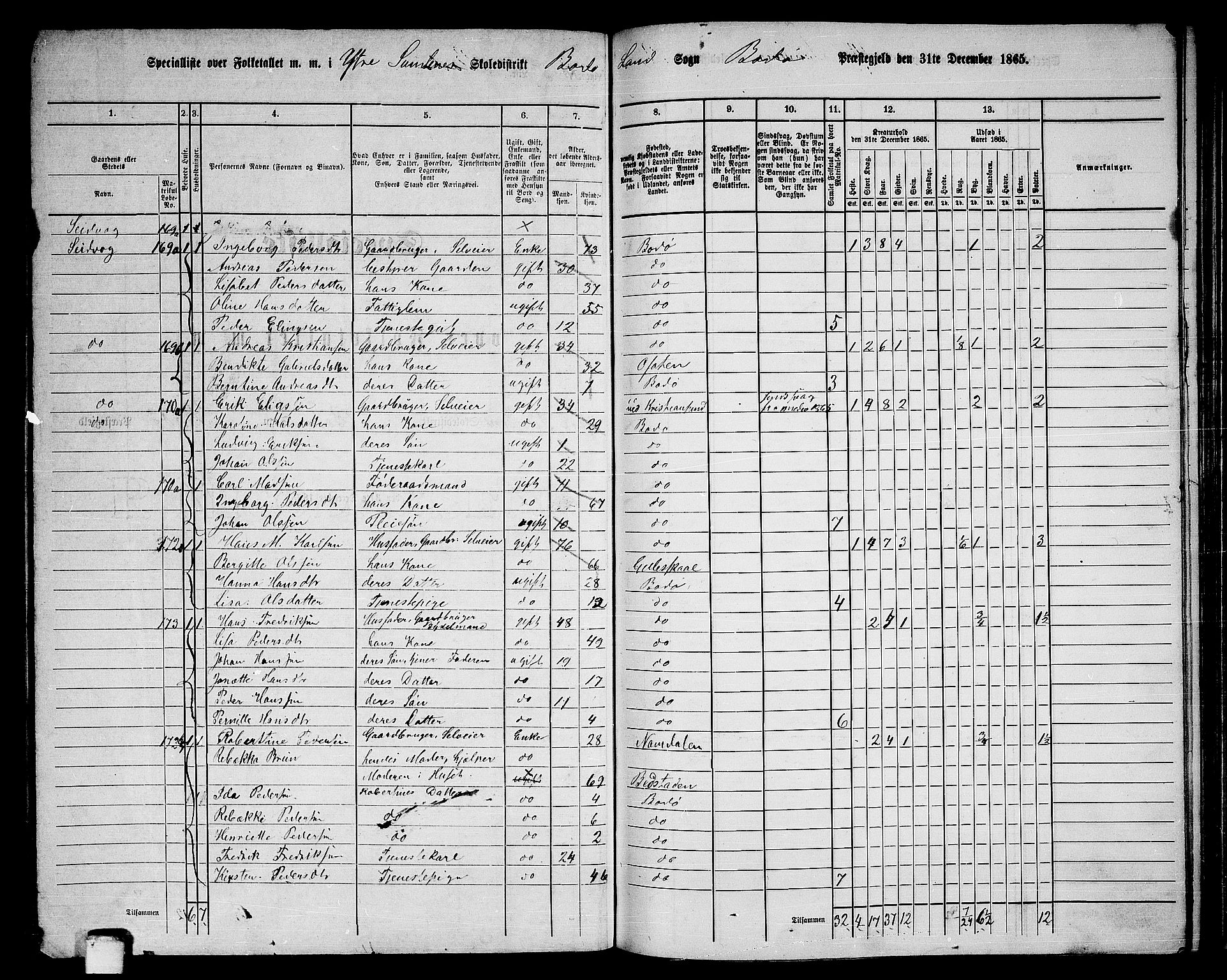 RA, Folketelling 1865 for 1843L Bodø prestegjeld, Bodø landsokn, 1865, s. 95