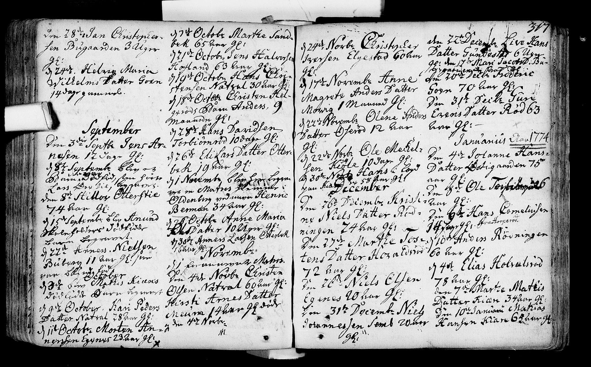 Nøtterøy kirkebøker, AV/SAKO-A-354/F/Fa/L0002: Ministerialbok nr. I 2, 1738-1790, s. 317