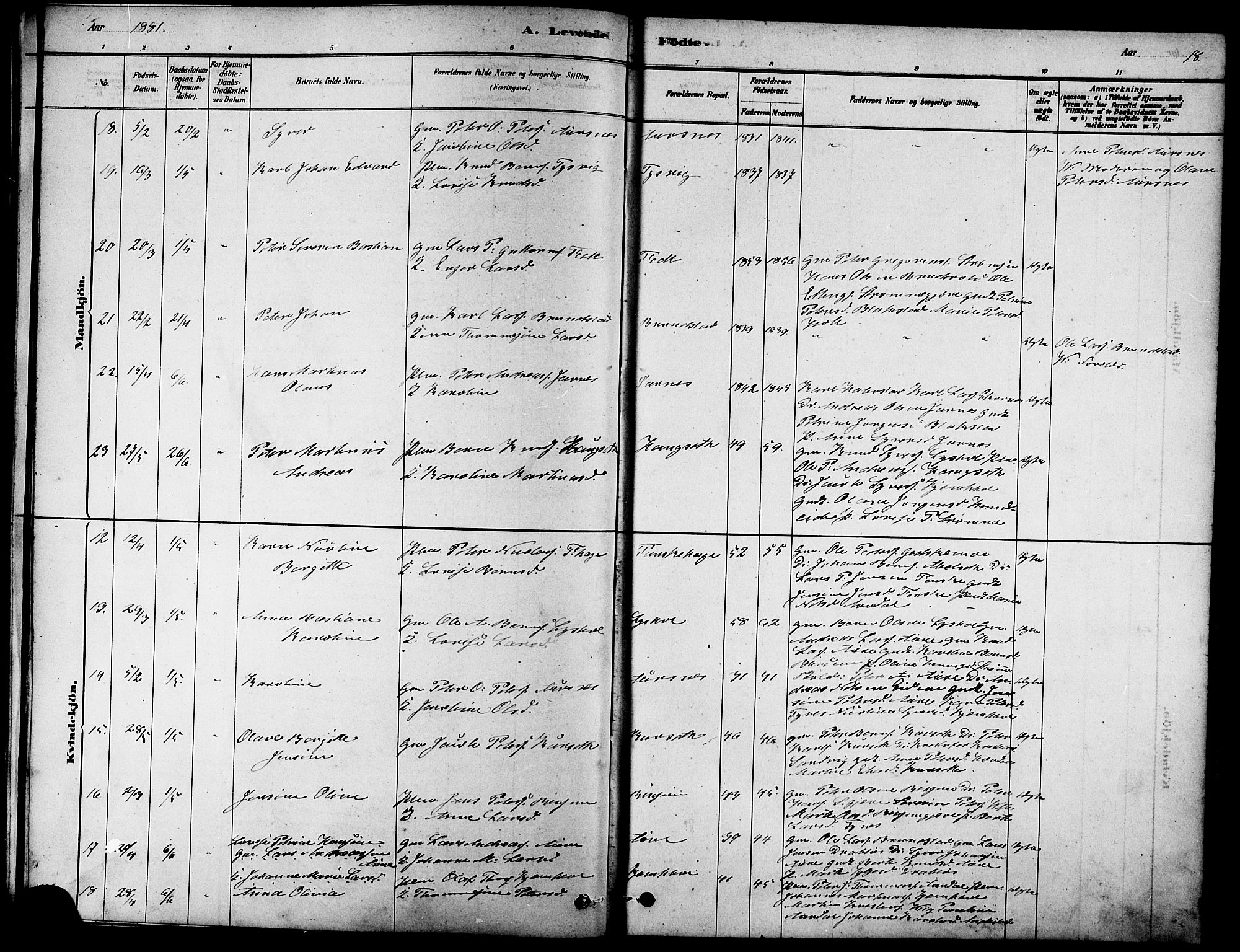 Ministerialprotokoller, klokkerbøker og fødselsregistre - Møre og Romsdal, SAT/A-1454/523/L0339: Klokkerbok nr. 523C02, 1878-1891, s. 18