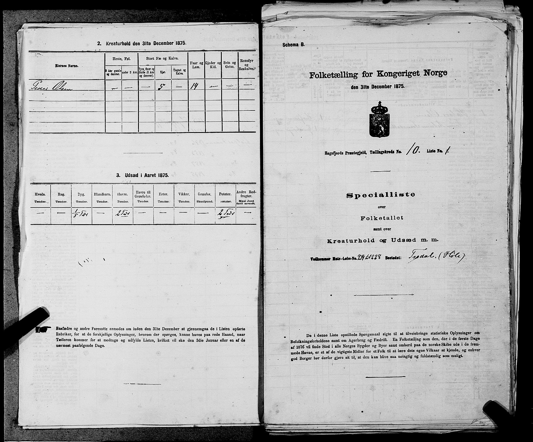 SAST, Folketelling 1875 for 1128P Høgsfjord prestegjeld, 1875, s. 778