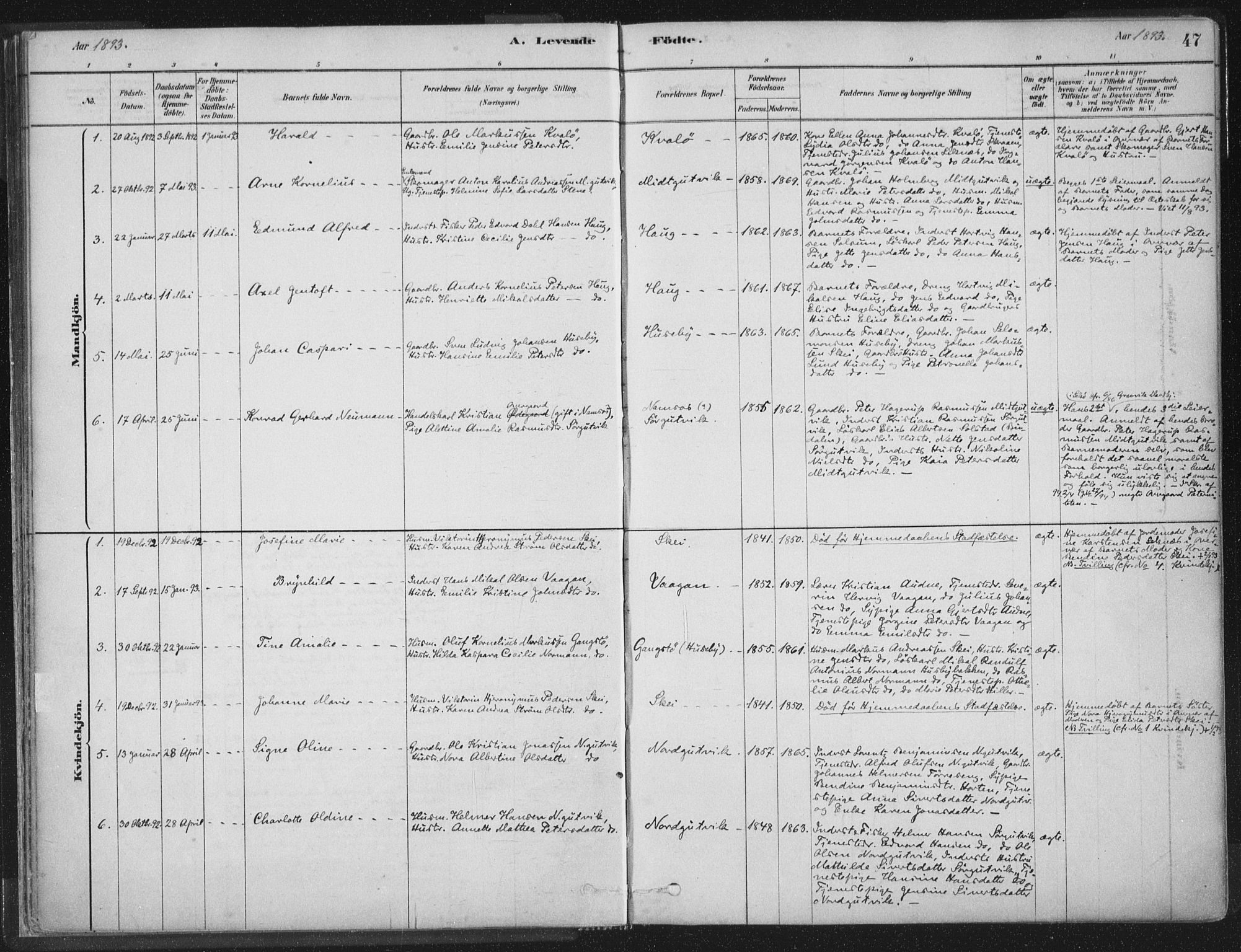 Ministerialprotokoller, klokkerbøker og fødselsregistre - Nord-Trøndelag, AV/SAT-A-1458/788/L0697: Ministerialbok nr. 788A04, 1878-1902, s. 47