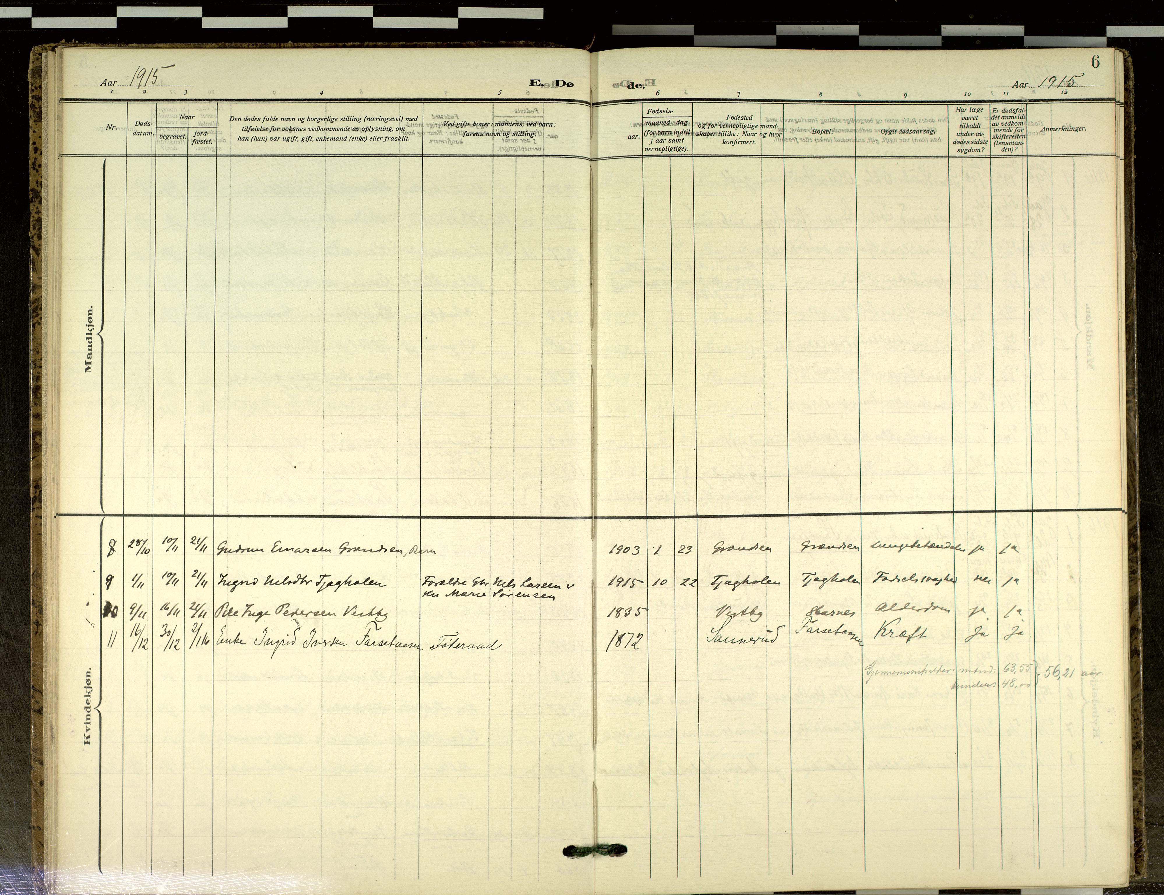 Sør-Odal prestekontor, AV/SAH-PREST-030/H/Ha/Haa/L0021: Ministerialbok nr. 21, 1909-2012, s. 6