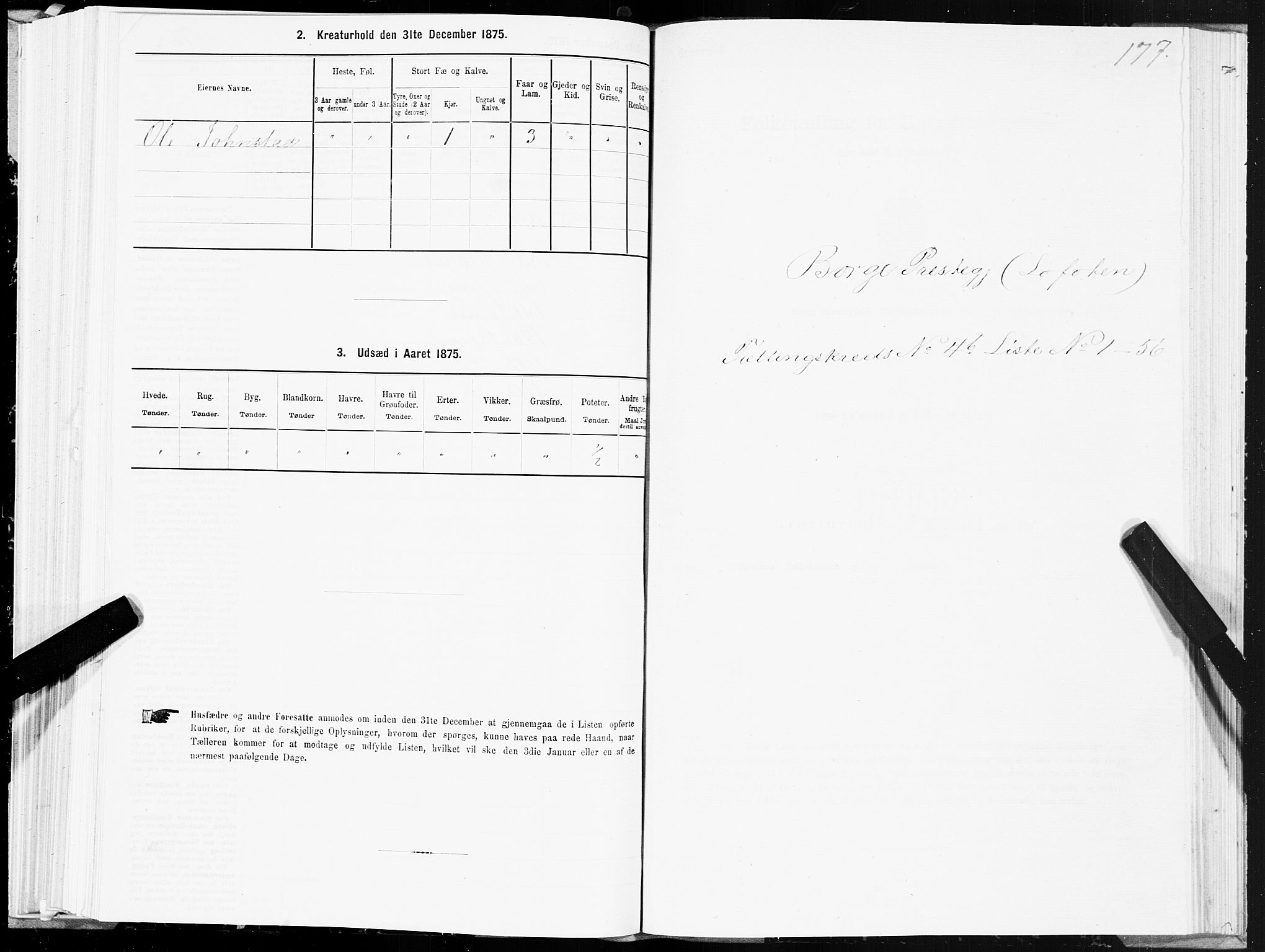 SAT, Folketelling 1875 for 1862P Borge prestegjeld, 1875, s. 3177