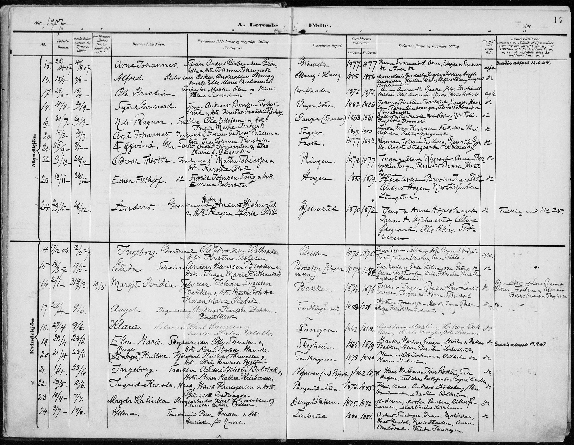 Norderhov kirkebøker, AV/SAKO-A-237/F/Fa/L0017: Ministerialbok nr. 17, 1903-1919, s. 17