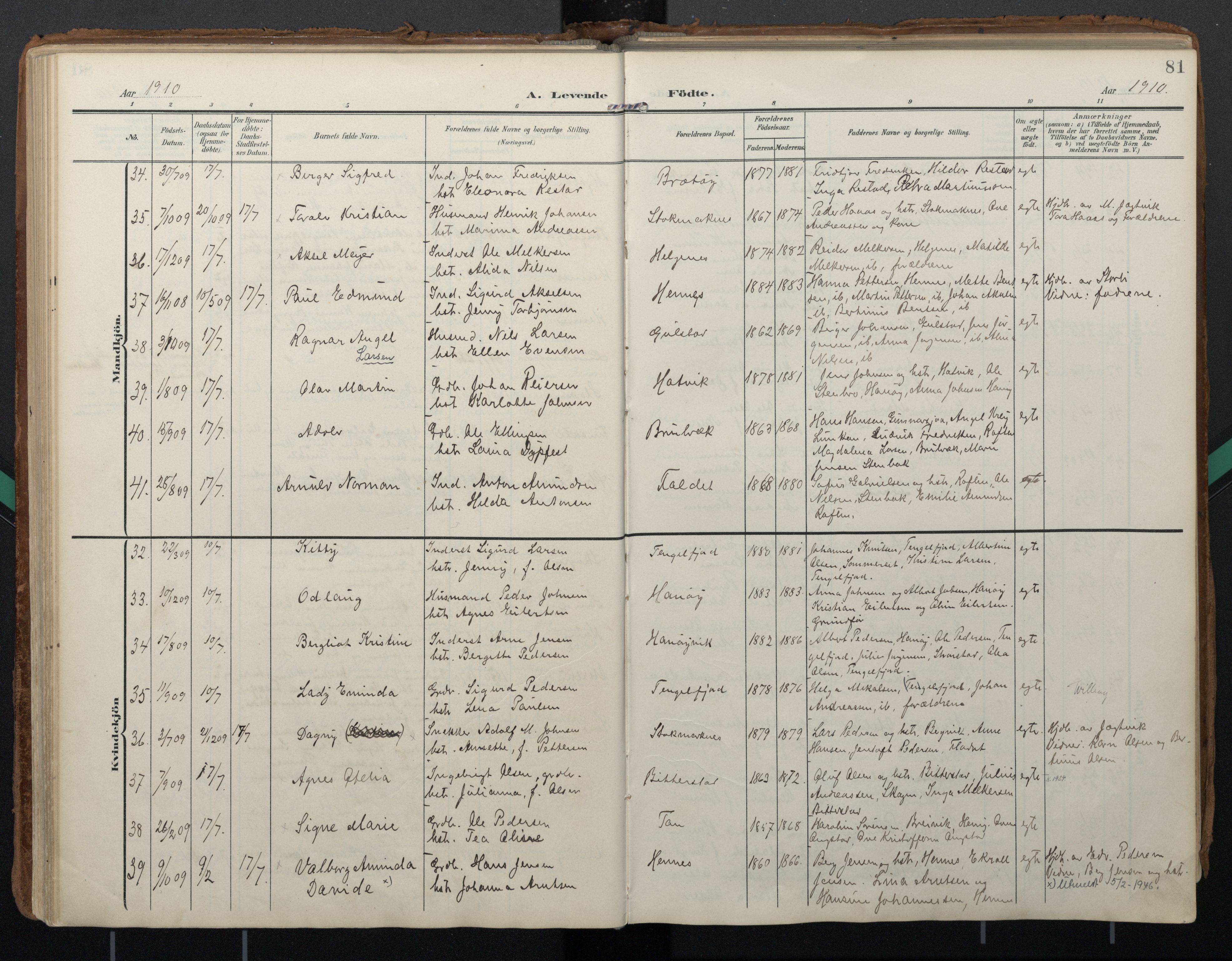 Ministerialprotokoller, klokkerbøker og fødselsregistre - Nordland, AV/SAT-A-1459/888/L1248: Ministerialbok nr. 888A14, 1904-1913, s. 81