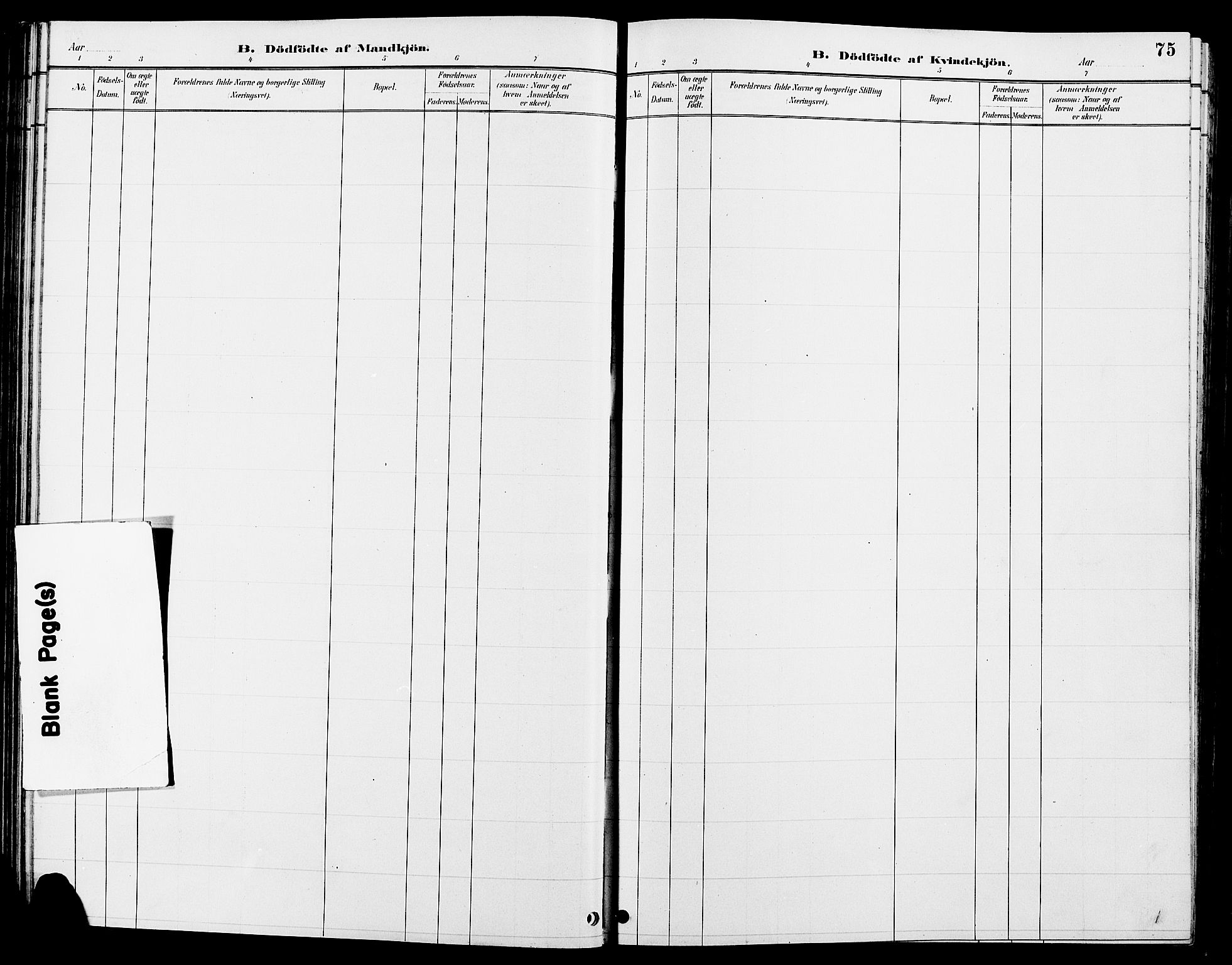 Tolga prestekontor, SAH/PREST-062/L/L0008: Klokkerbok nr. 8, 1887-1912, s. 75