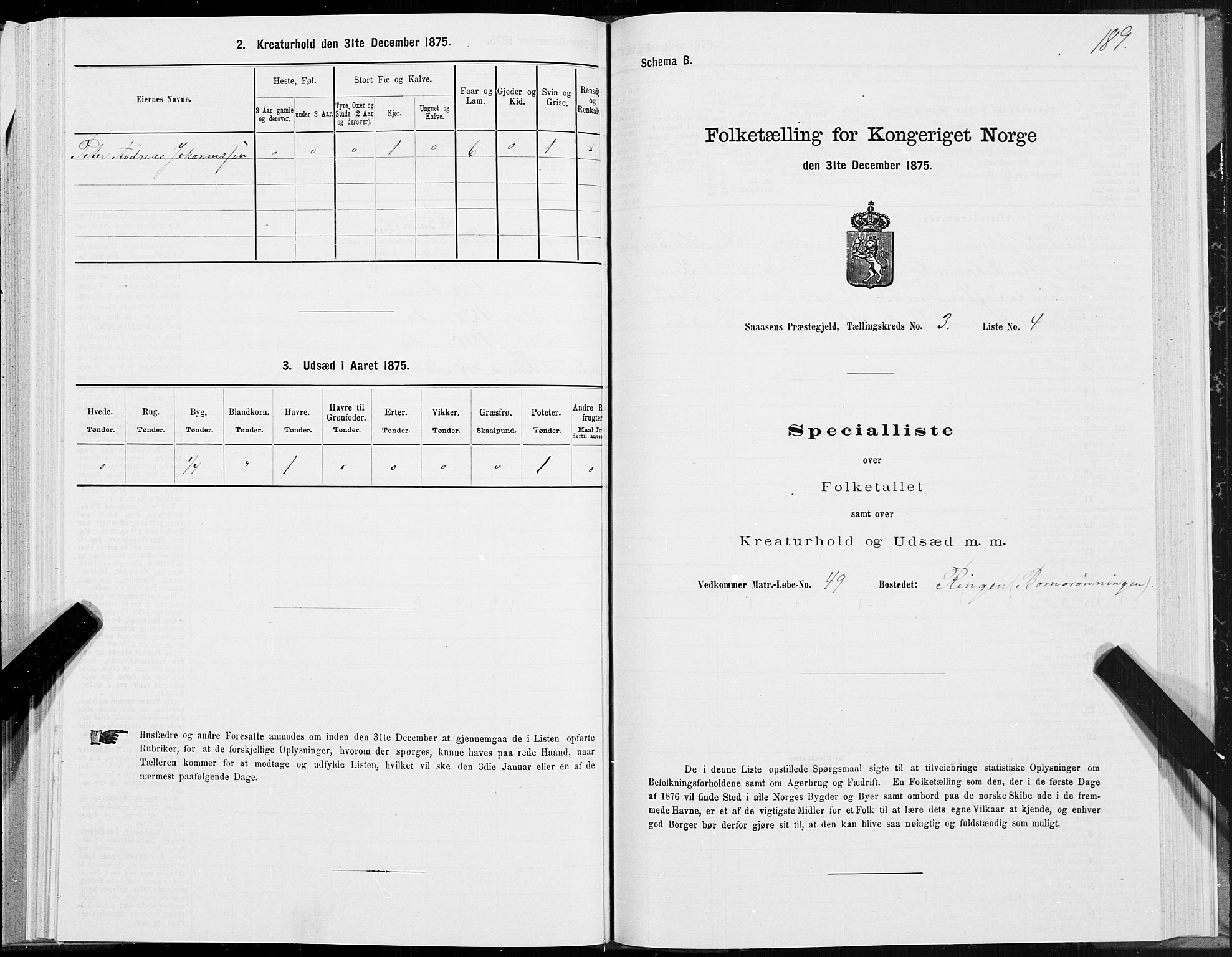 SAT, Folketelling 1875 for 1736P Snåsa prestegjeld, 1875, s. 1189