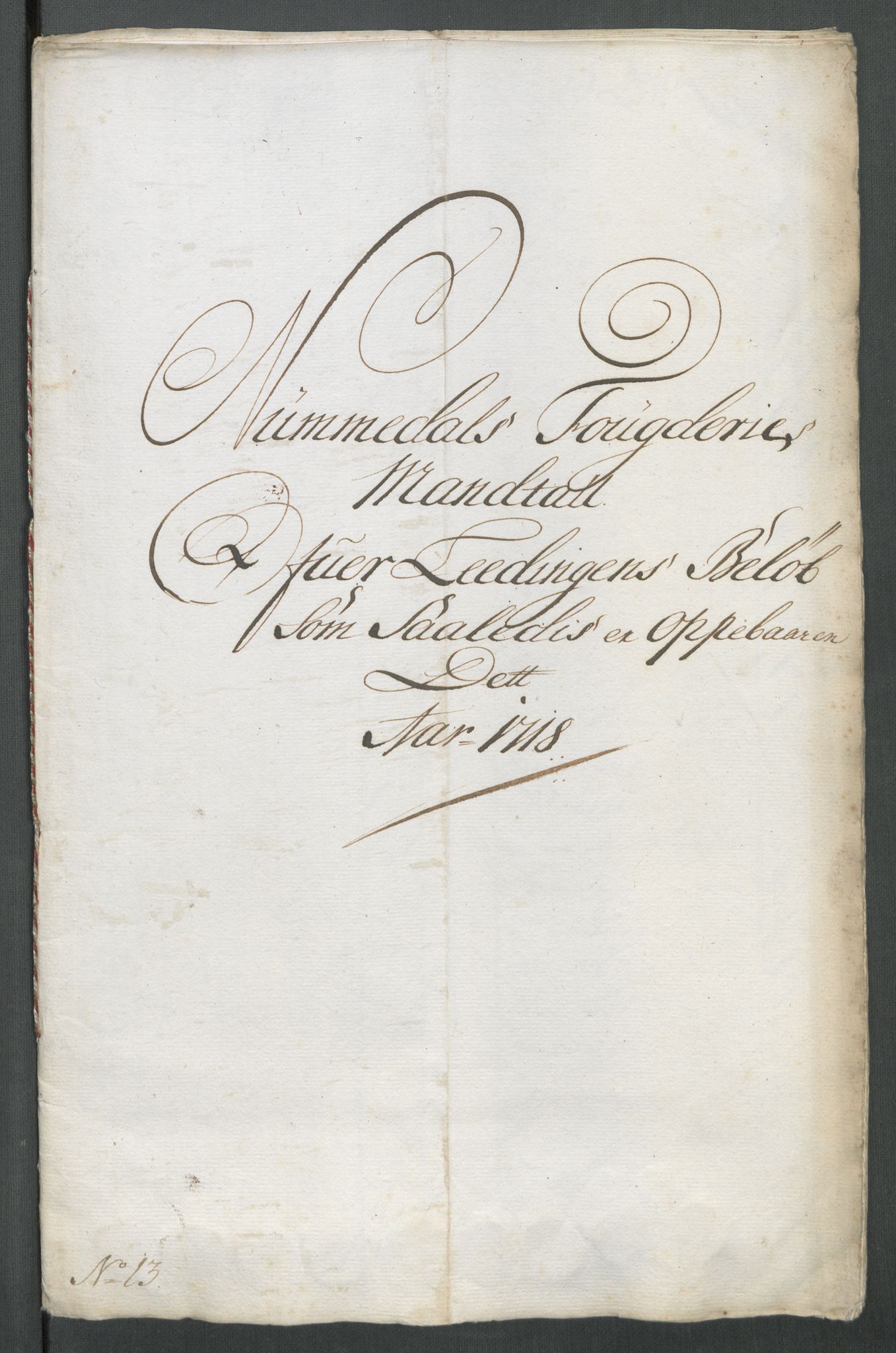 Rentekammeret inntil 1814, Reviderte regnskaper, Fogderegnskap, RA/EA-4092/R64/L4439: Fogderegnskap Namdal, 1718, s. 159