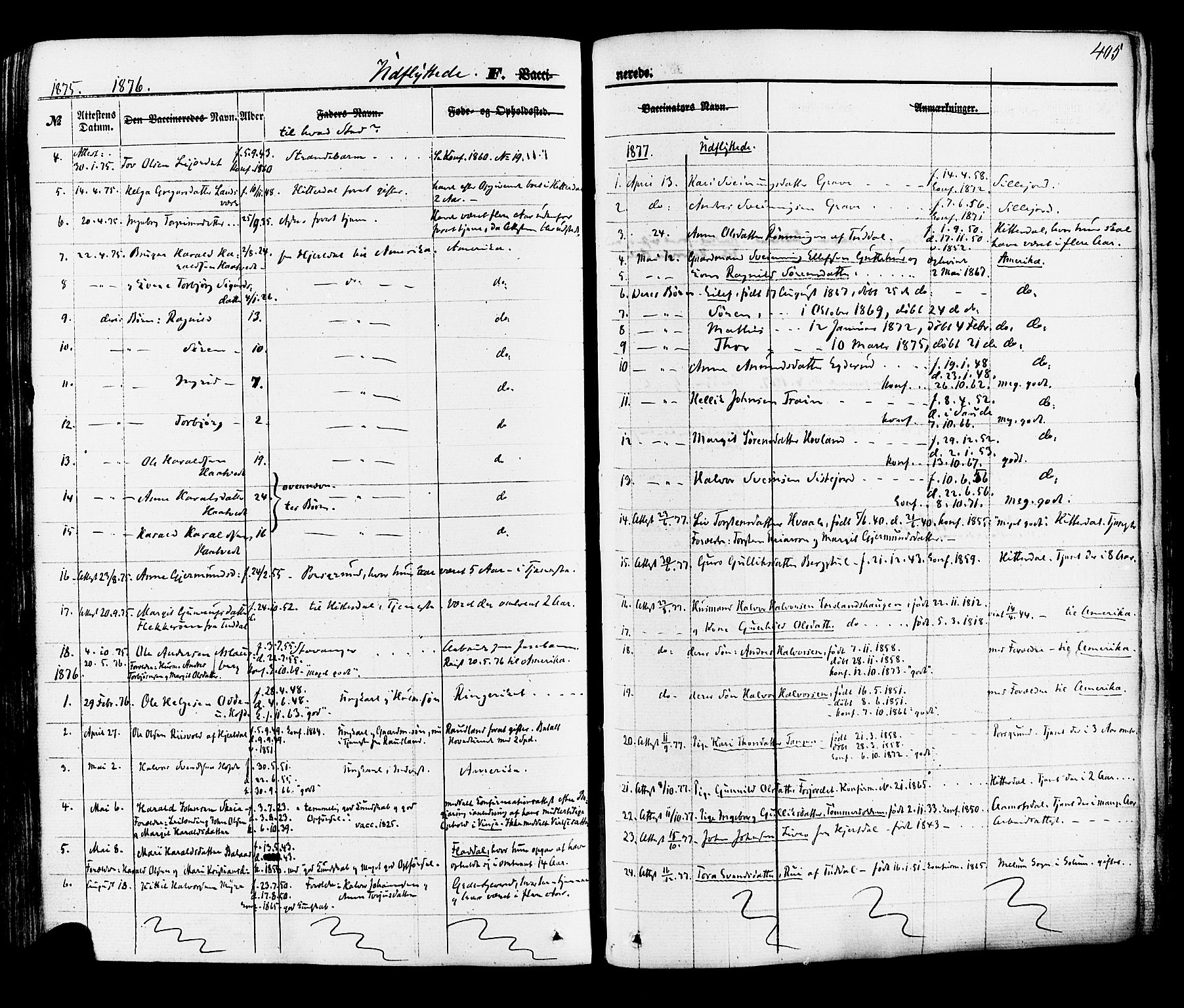 Hjartdal kirkebøker, AV/SAKO-A-270/F/Fa/L0009: Ministerialbok nr. I 9, 1860-1879, s. 405