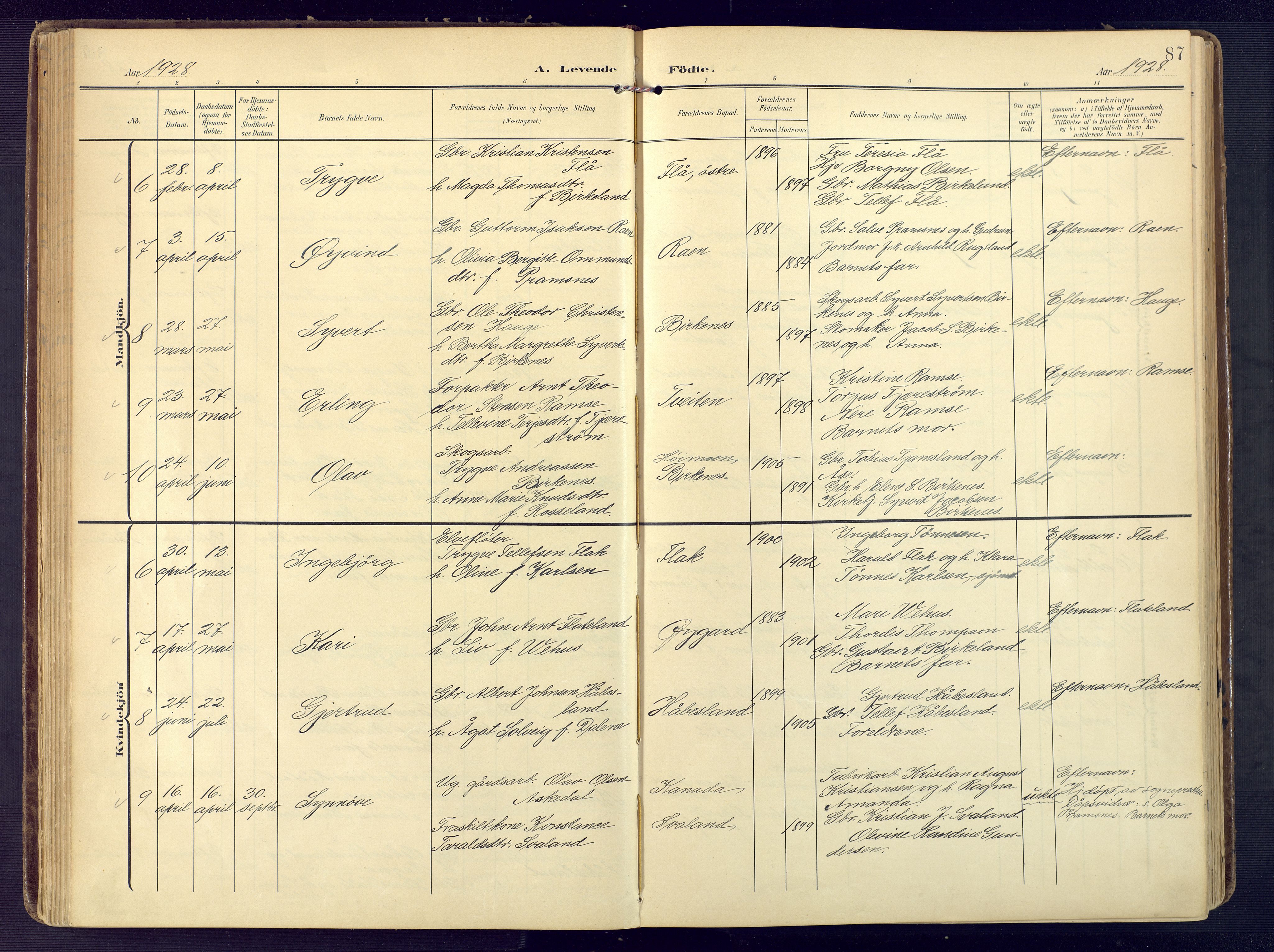 Birkenes sokneprestkontor, SAK/1111-0004/F/Fa/L0006: Ministerialbok nr. A 6, 1908-1932, s. 87