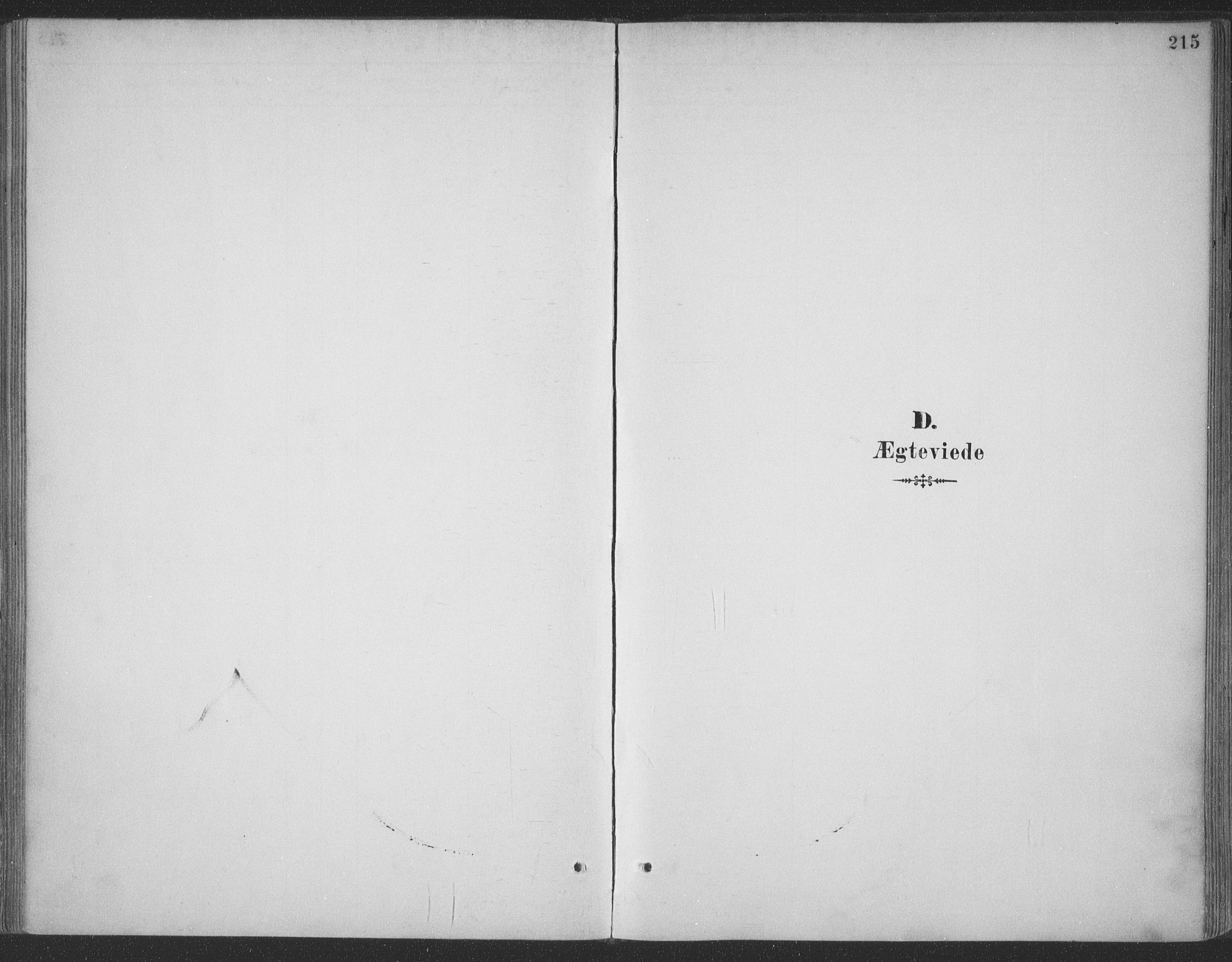 Ministerialprotokoller, klokkerbøker og fødselsregistre - Møre og Romsdal, SAT/A-1454/511/L0142: Ministerialbok nr. 511A09, 1891-1905, s. 215