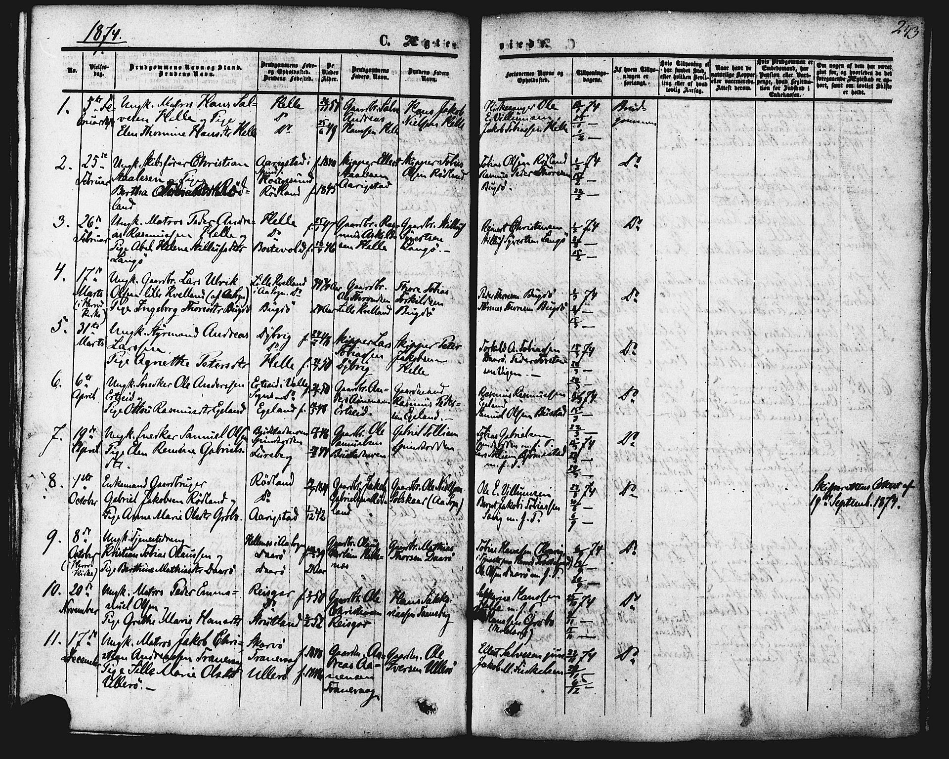 Herad sokneprestkontor, AV/SAK-1111-0018/F/Fa/Fab/L0004: Ministerialbok nr. A 4, 1853-1885, s. 243