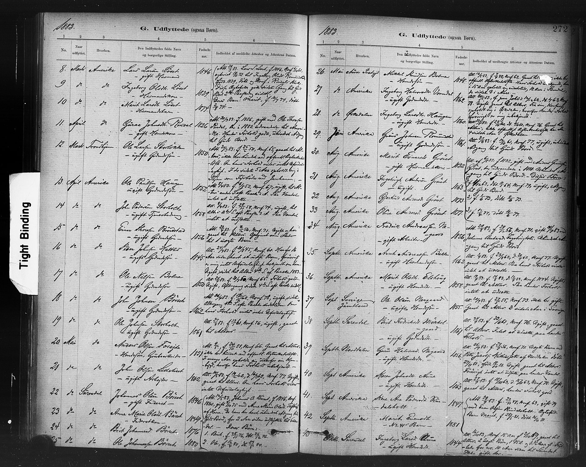 Ministerialprotokoller, klokkerbøker og fødselsregistre - Møre og Romsdal, SAT/A-1454/598/L1069: Ministerialbok nr. 598A03, 1882-1895, s. 272