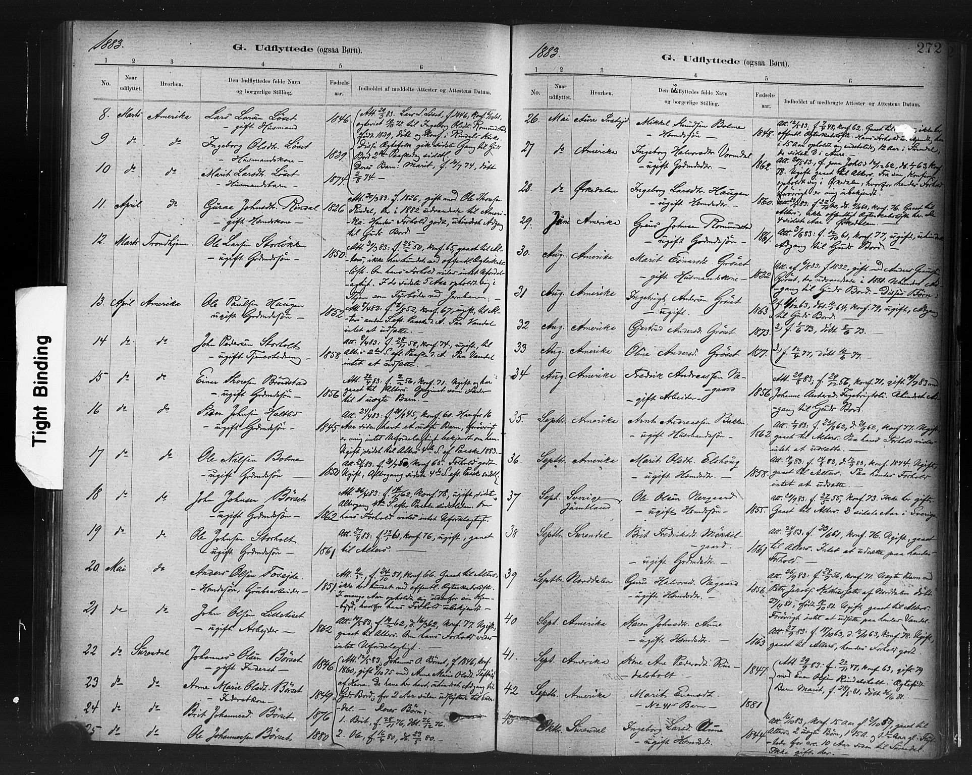 Ministerialprotokoller, klokkerbøker og fødselsregistre - Møre og Romsdal, AV/SAT-A-1454/598/L1069: Ministerialbok nr. 598A03, 1882-1895, s. 272
