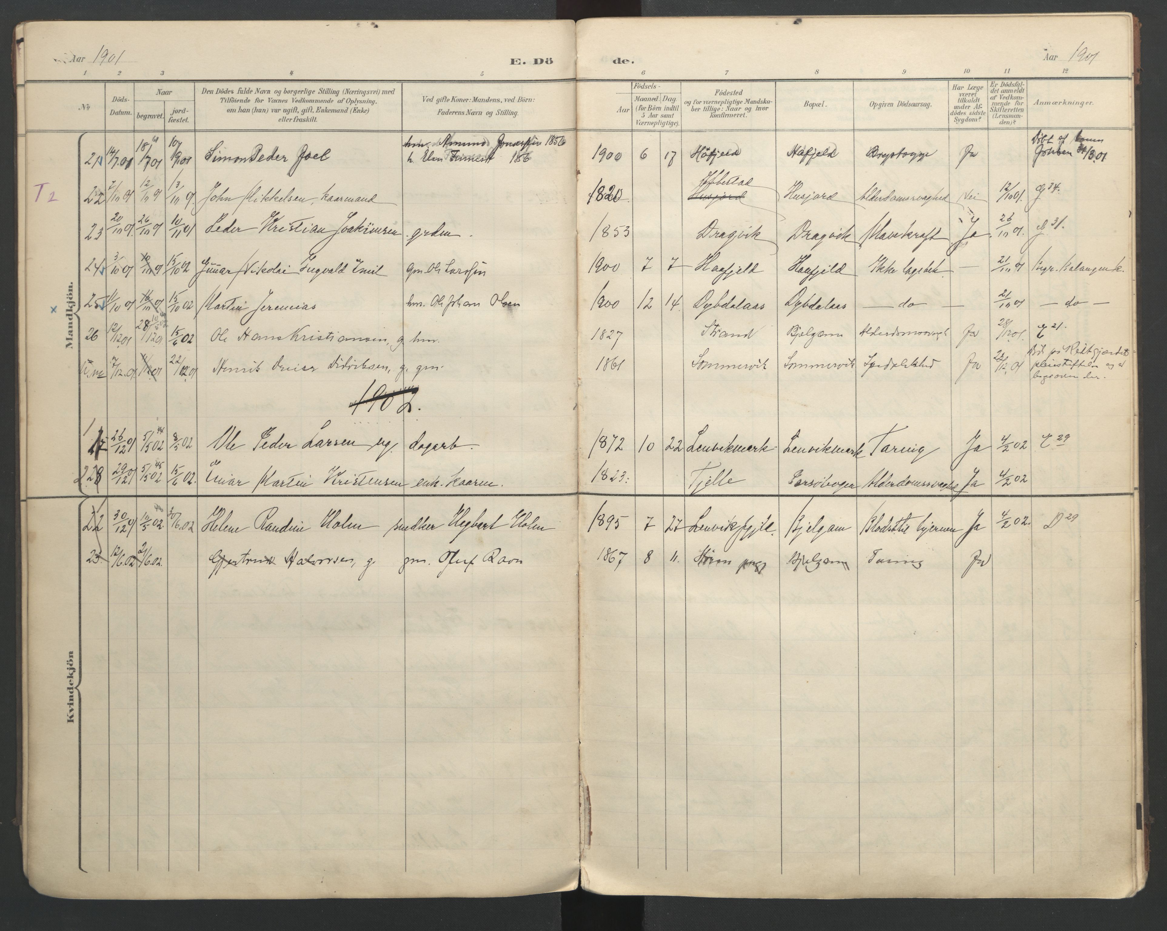 Ministerialprotokoller, klokkerbøker og fødselsregistre - Nordland, AV/SAT-A-1459/863/L0917: Klokkerbok nr. 863C07, 1898-1907