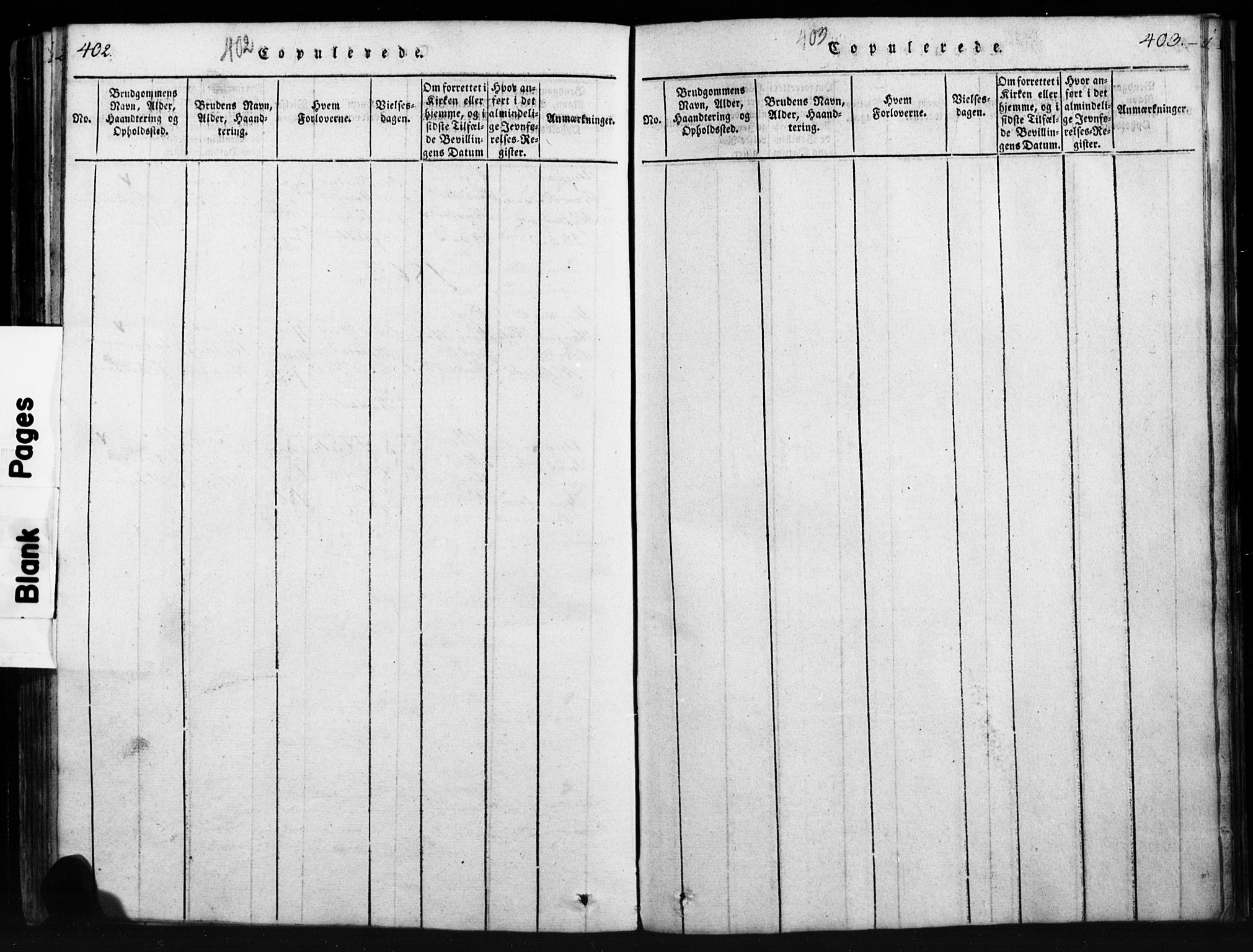 Tynset prestekontor, SAH/PREST-058/H/Ha/Hab/L0003: Klokkerbok nr. 3, 1814-1862, s. 402-403