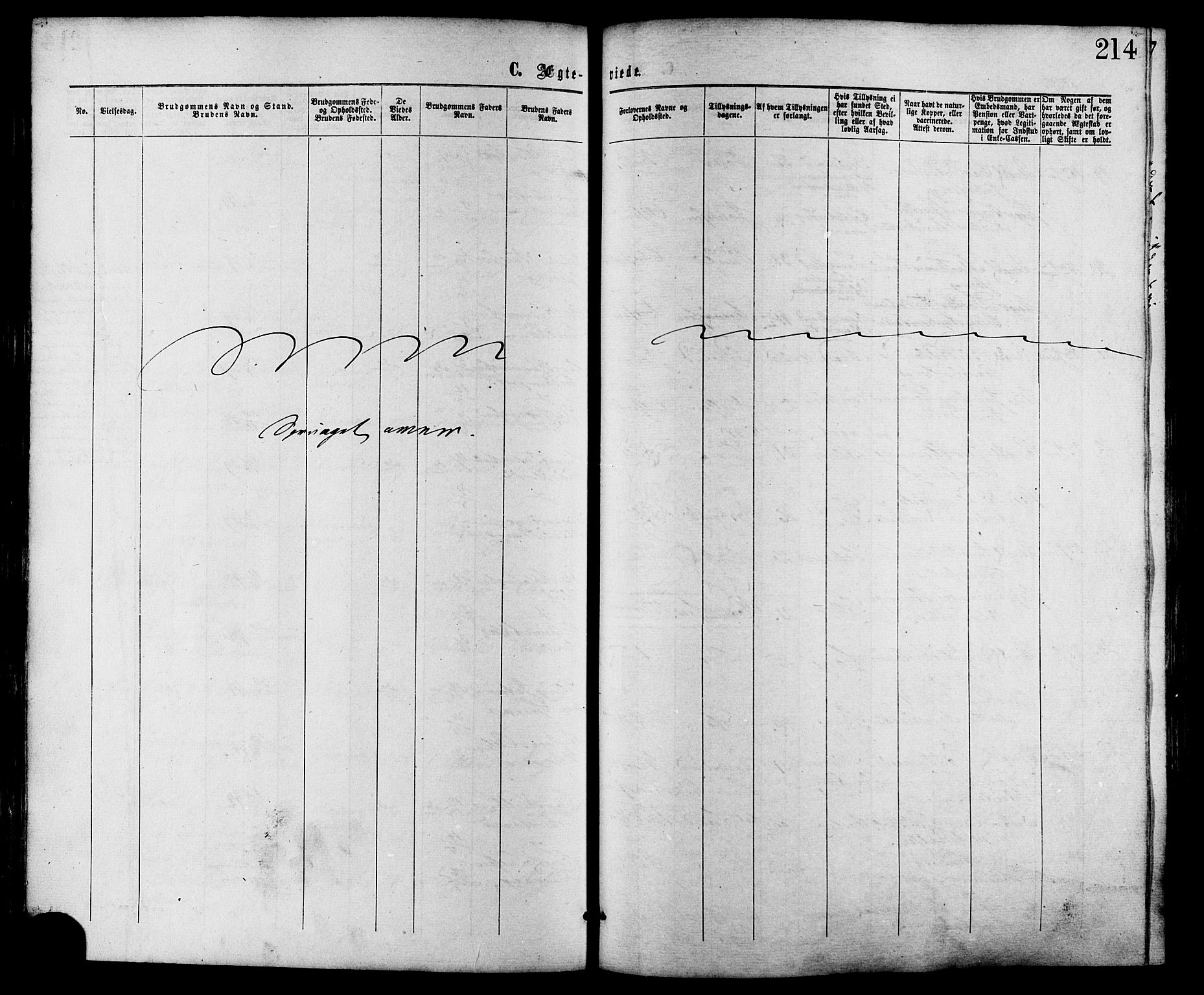 Ministerialprotokoller, klokkerbøker og fødselsregistre - Møre og Romsdal, SAT/A-1454/528/L0399: Ministerialbok nr. 528A10, 1864-1879, s. 214