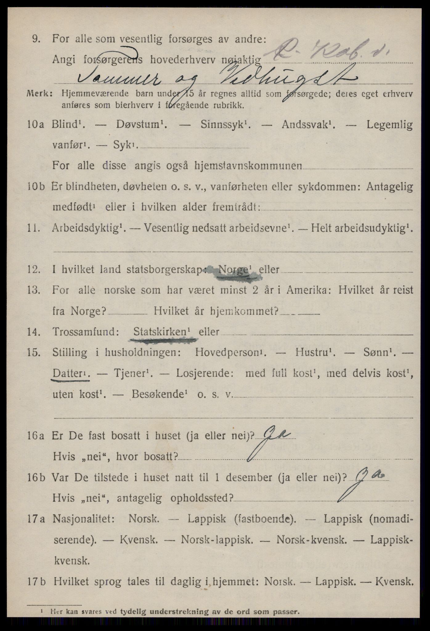 SAT, Folketelling 1920 for 1640 Røros herred, 1920, s. 8941